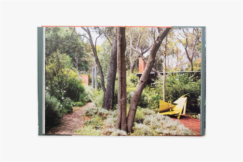 An Australian Garden - Image 3