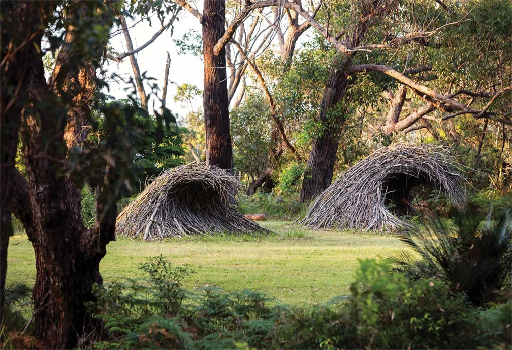 An Australian Garden - Image 7