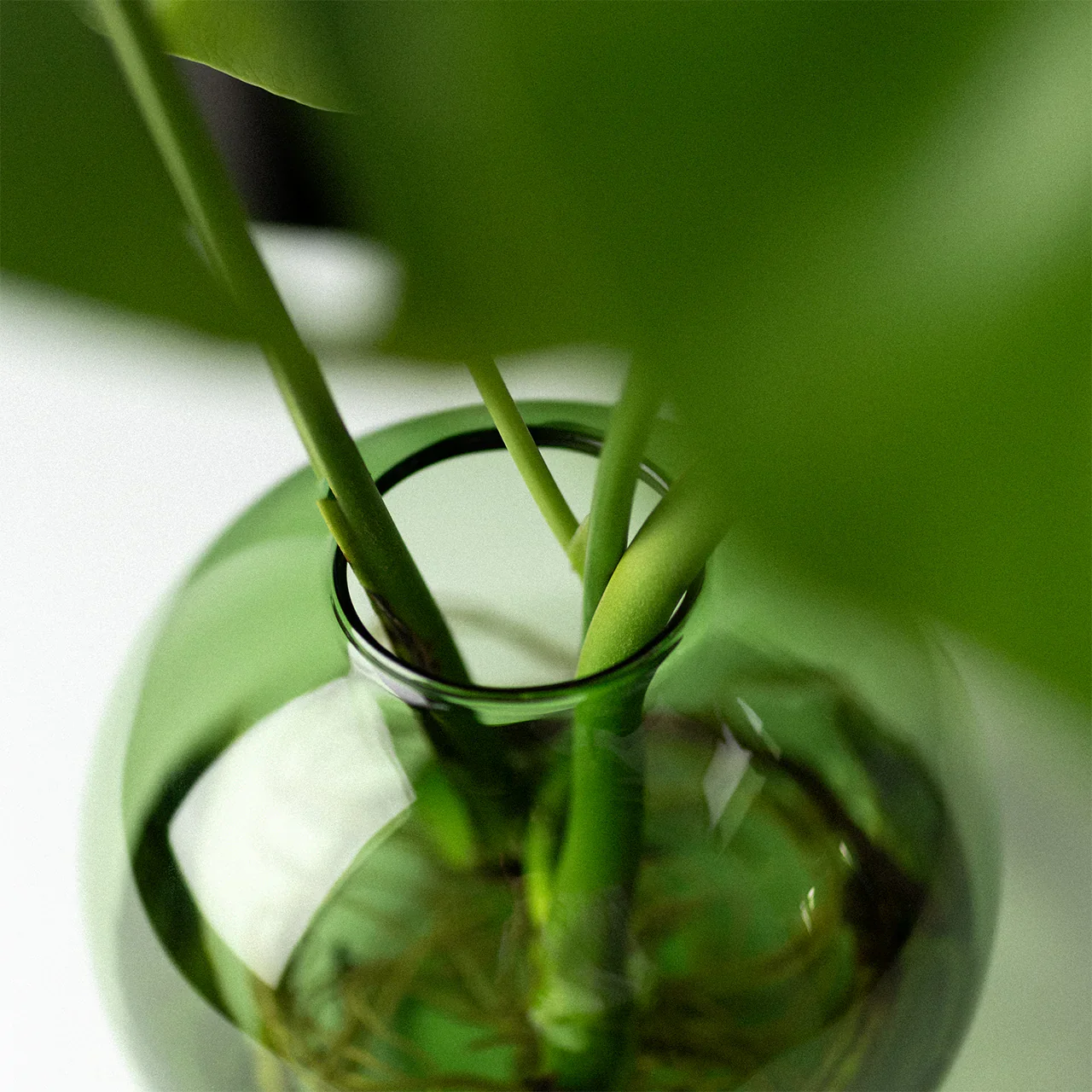 Aqua Planter - Image 4