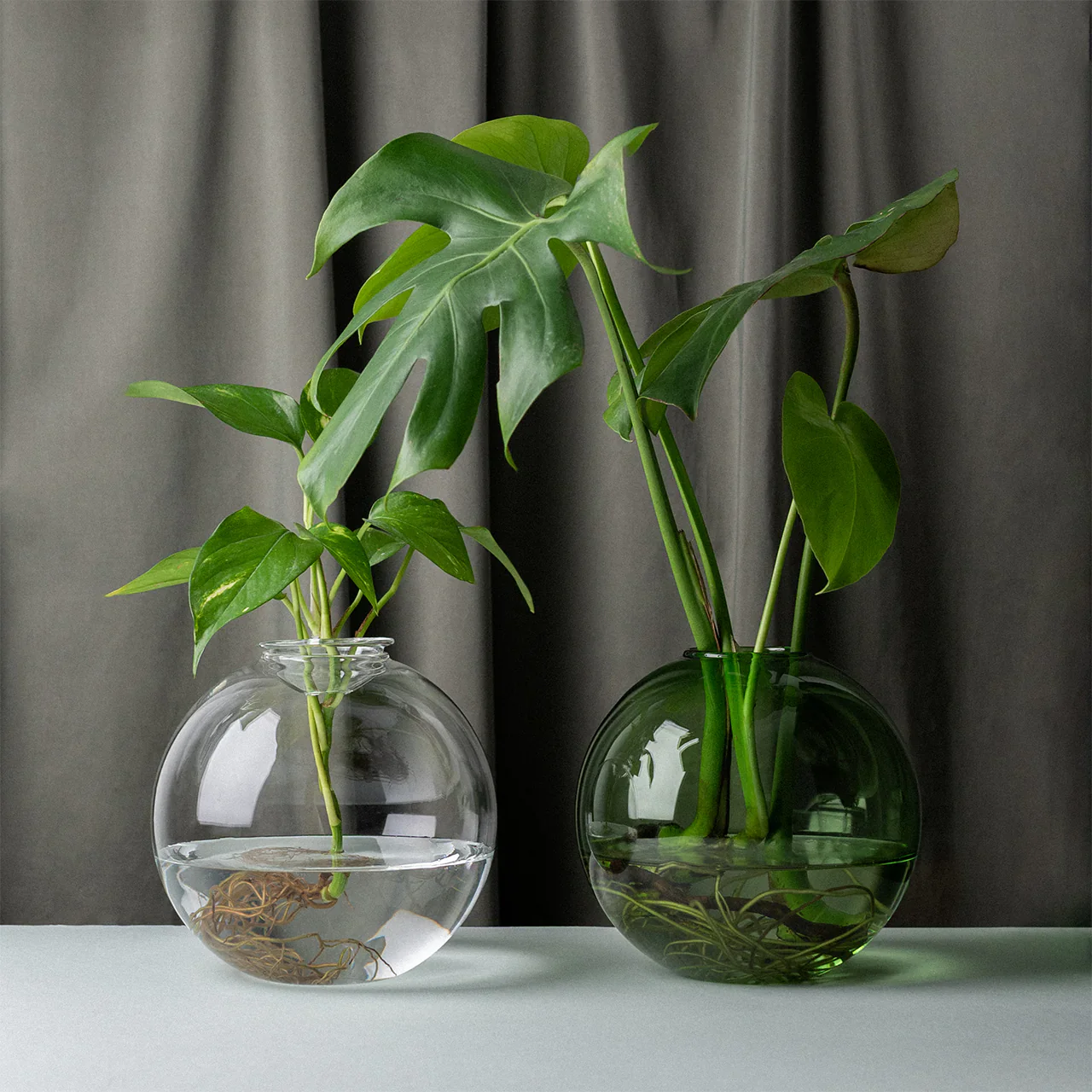 Aqua Planter - Image 3