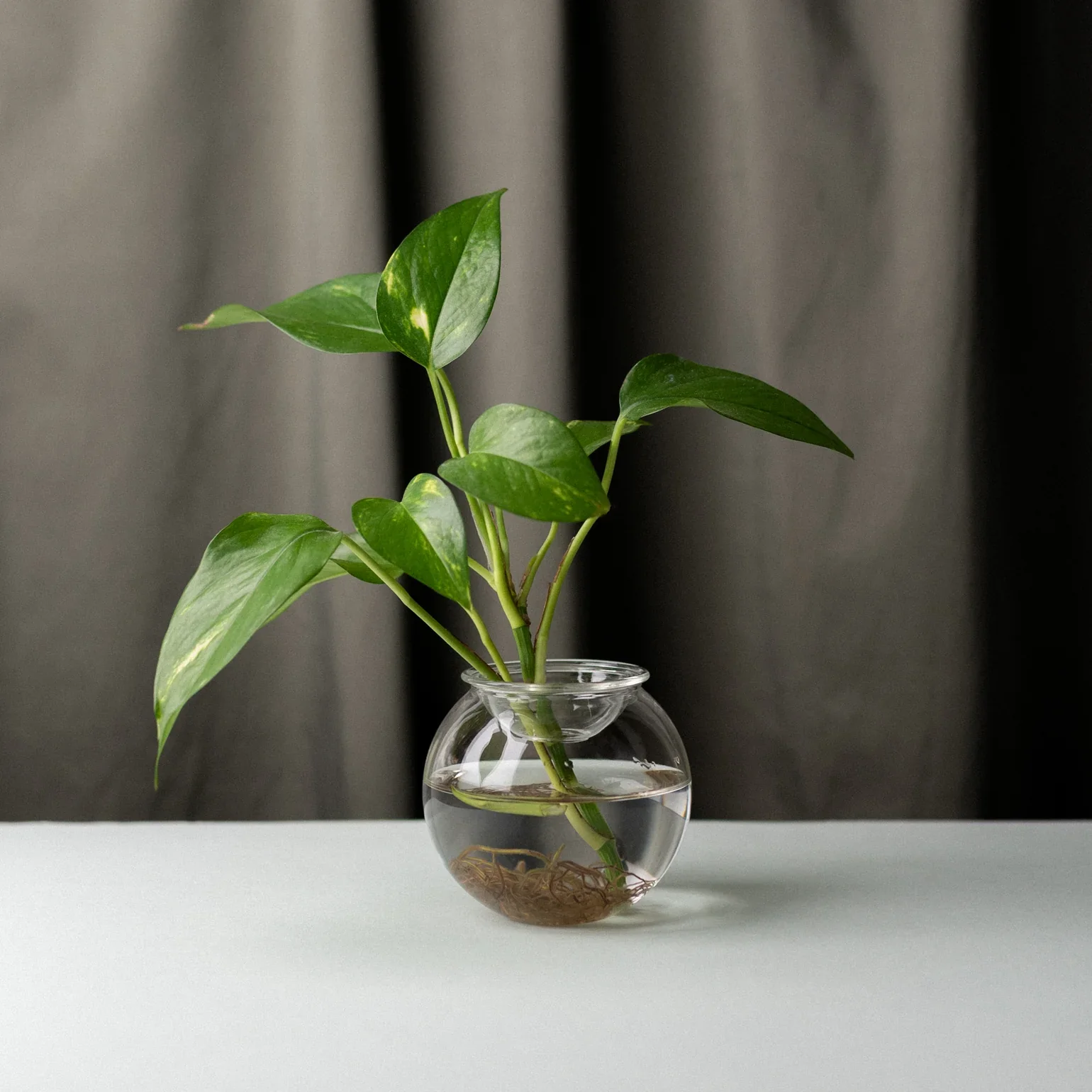 Aqua Planter - Set of Two - Image 2