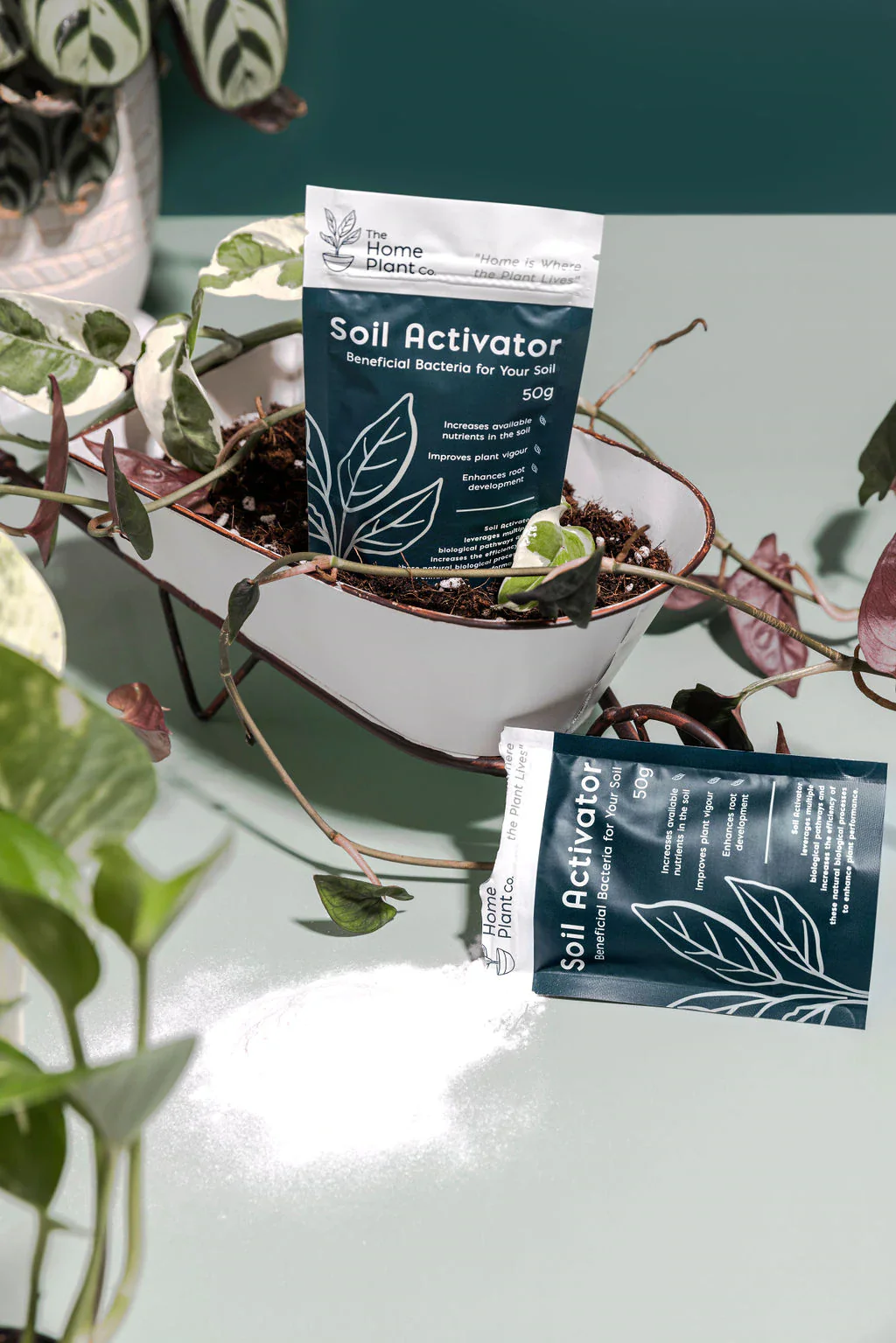 Soil Activator - Image 3