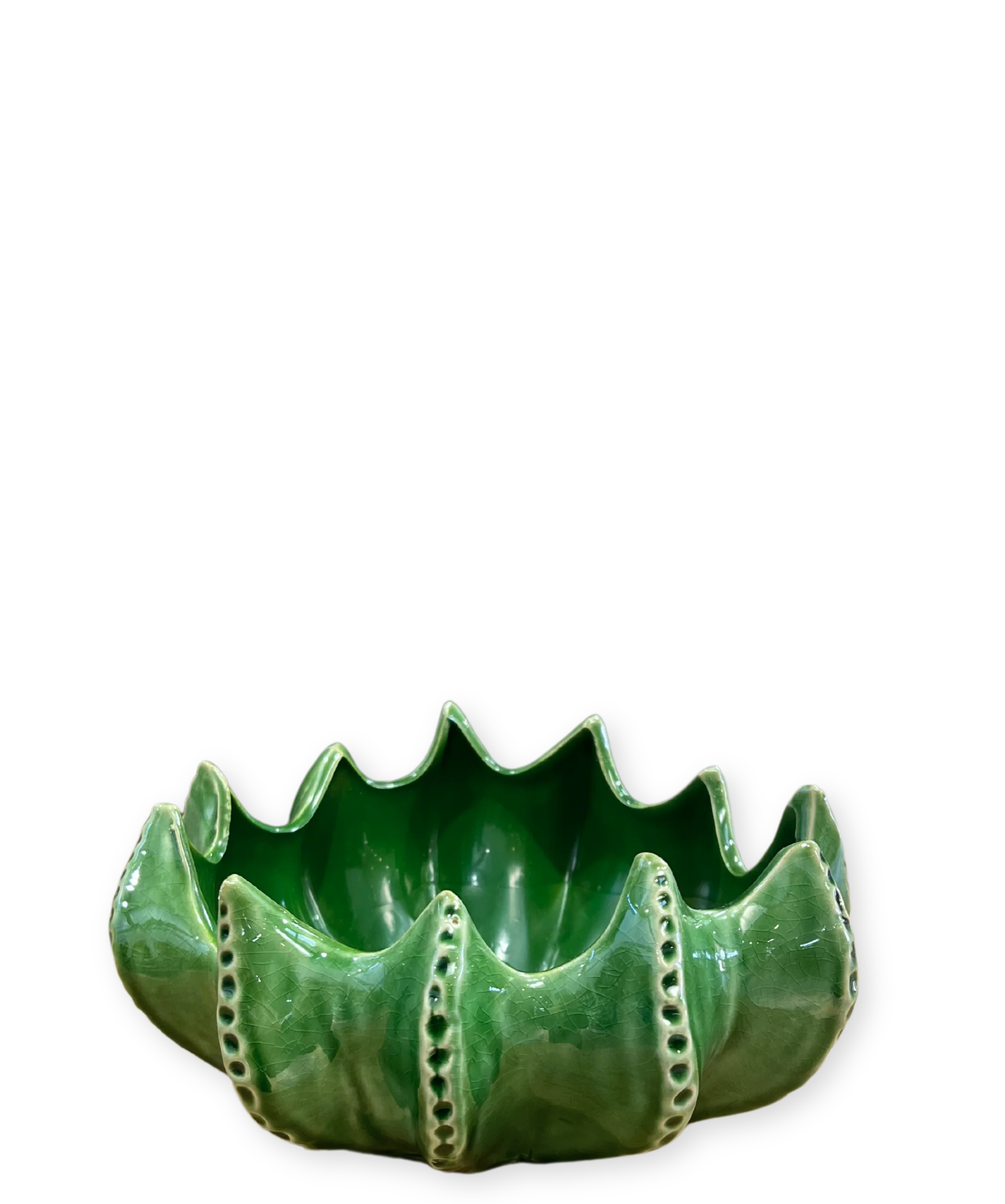 Cacti Bowl - Image 2