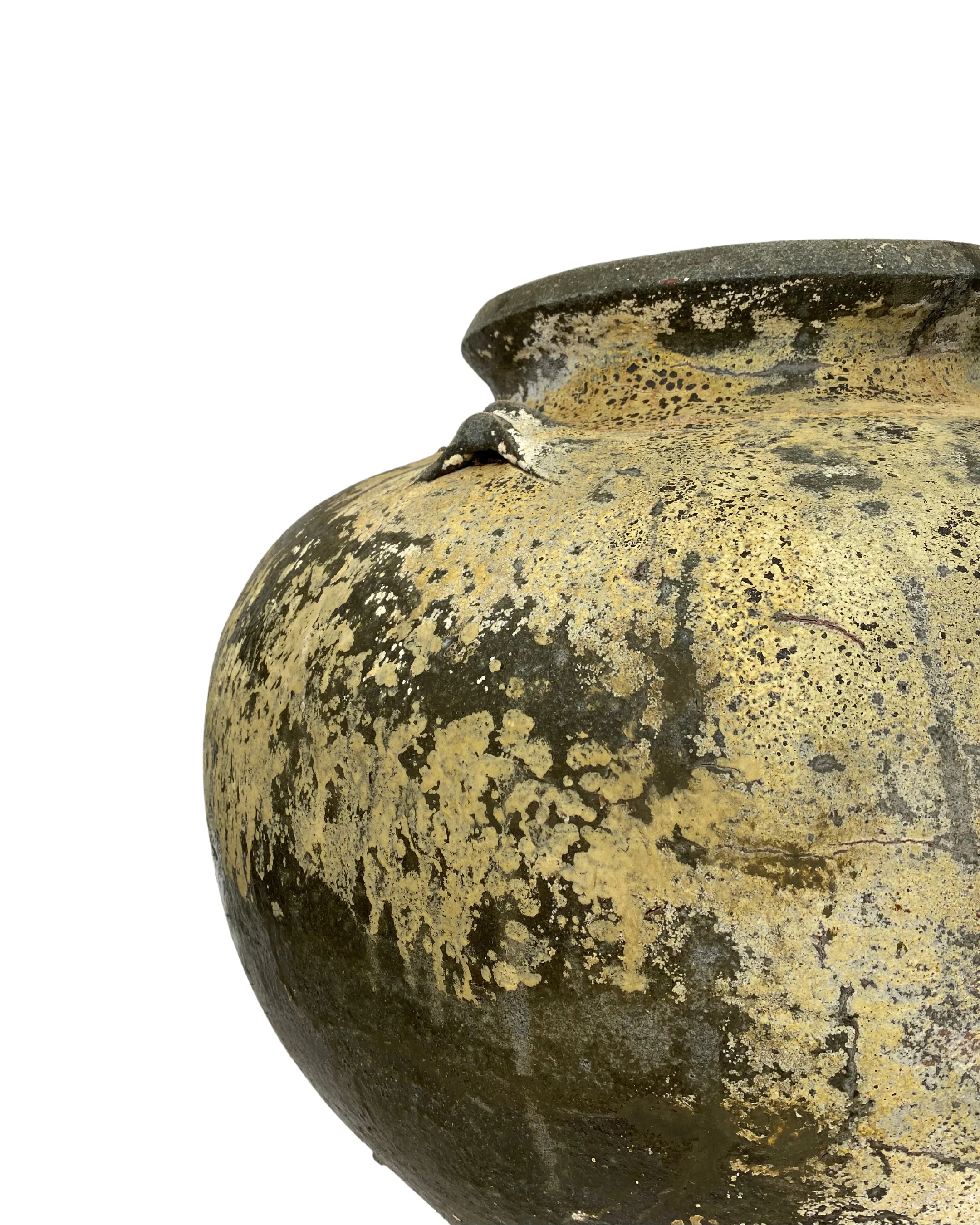 Cassian Jar - Image 3