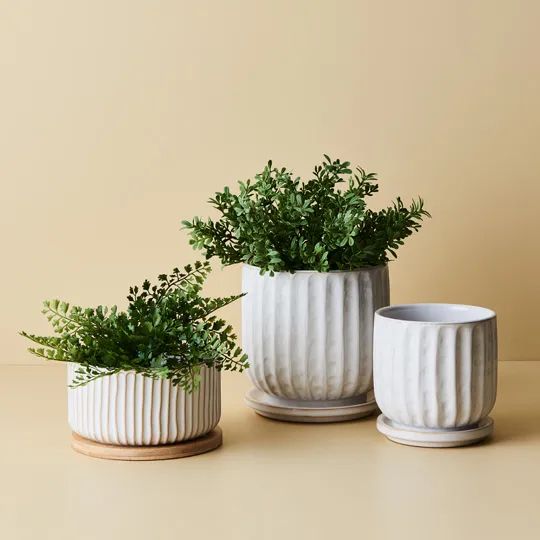 Clovelly Pot with Saucer - Image 3