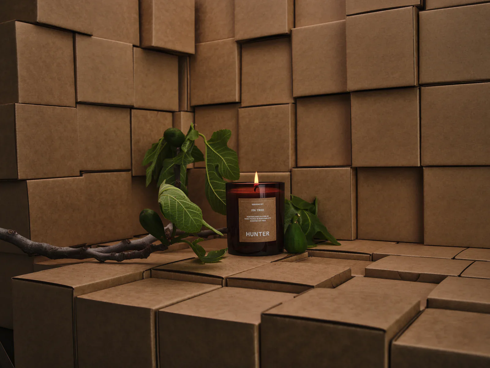 Deborah - Fig Tree Candle - Image 3