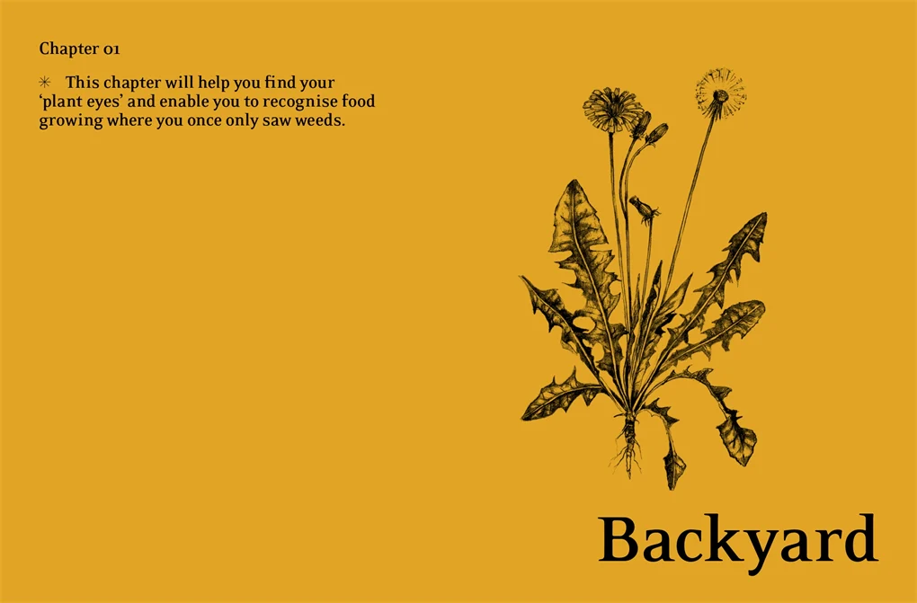 Eat Weeds - Image 4