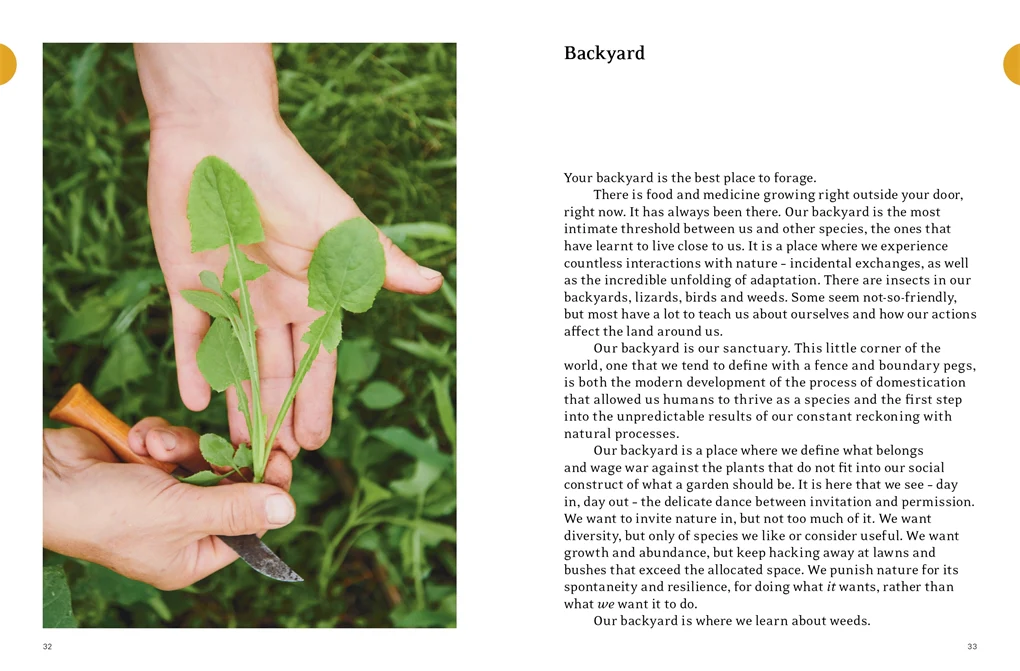 Eat Weeds - Image 5