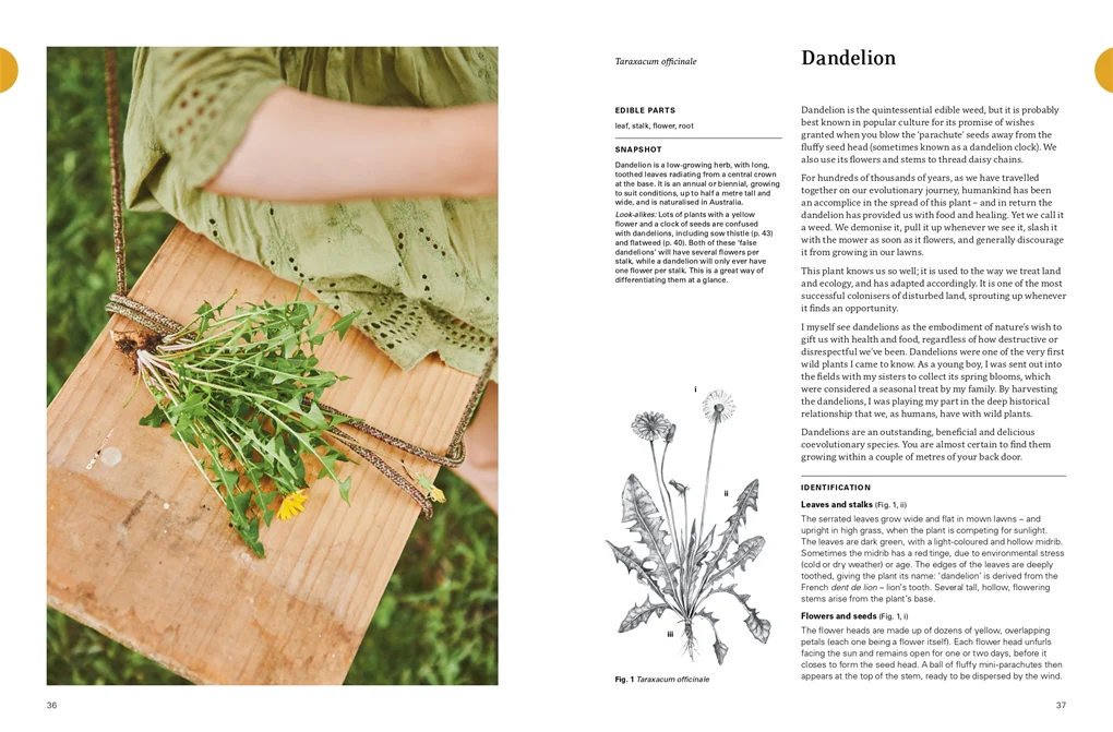 Eat Weeds - Image 6