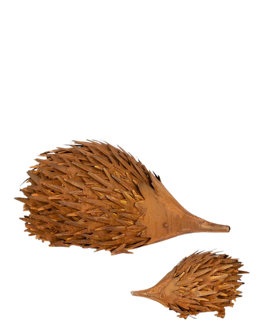 Echidna Rust - Image 2