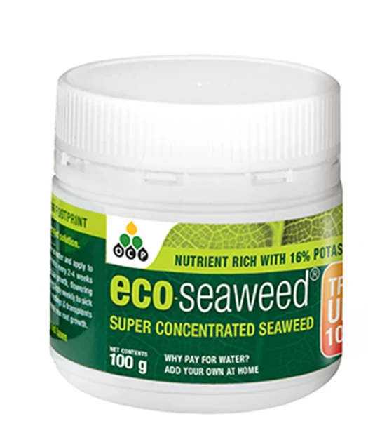 Eco Seaweed - Image 3