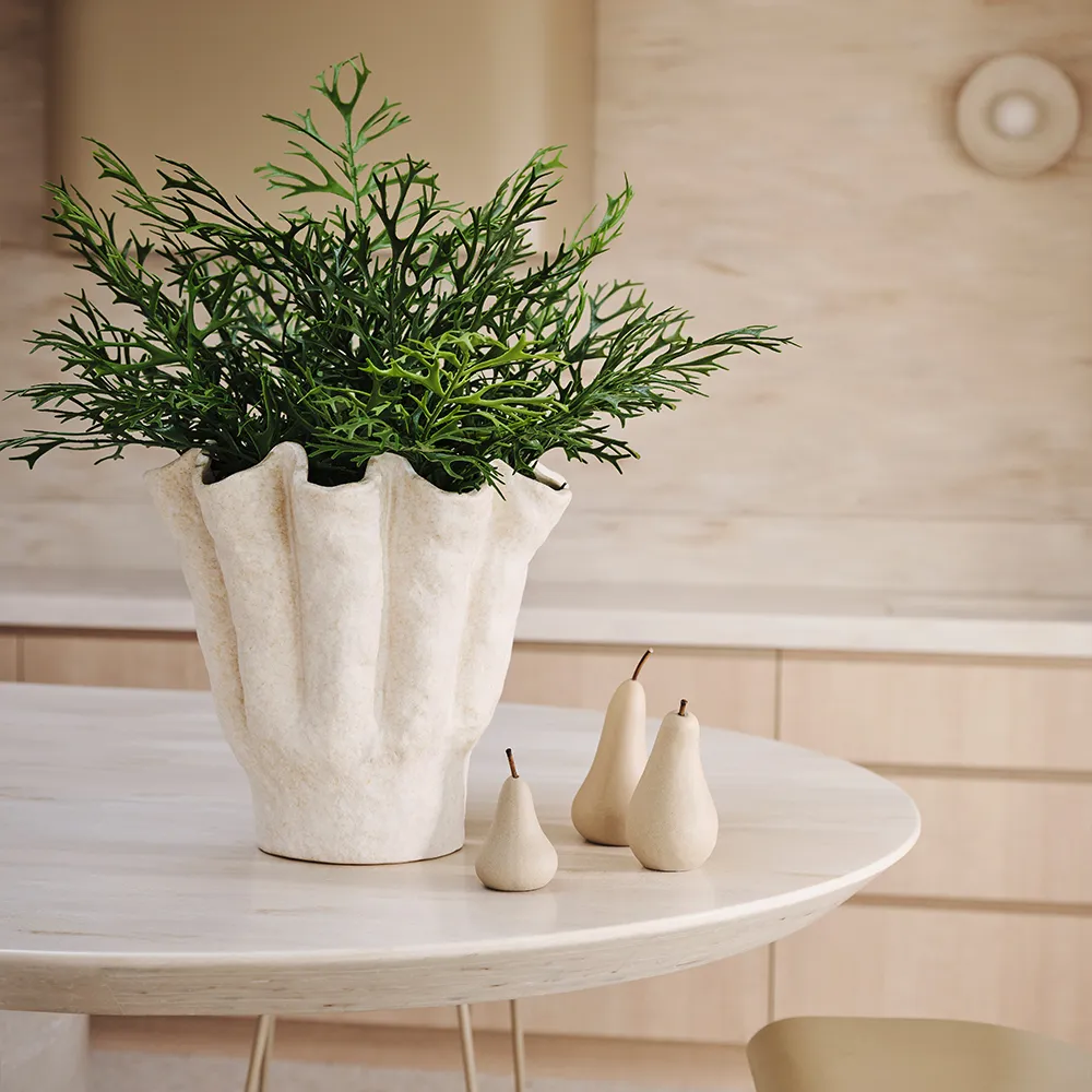 Elvi Pear - Image 3