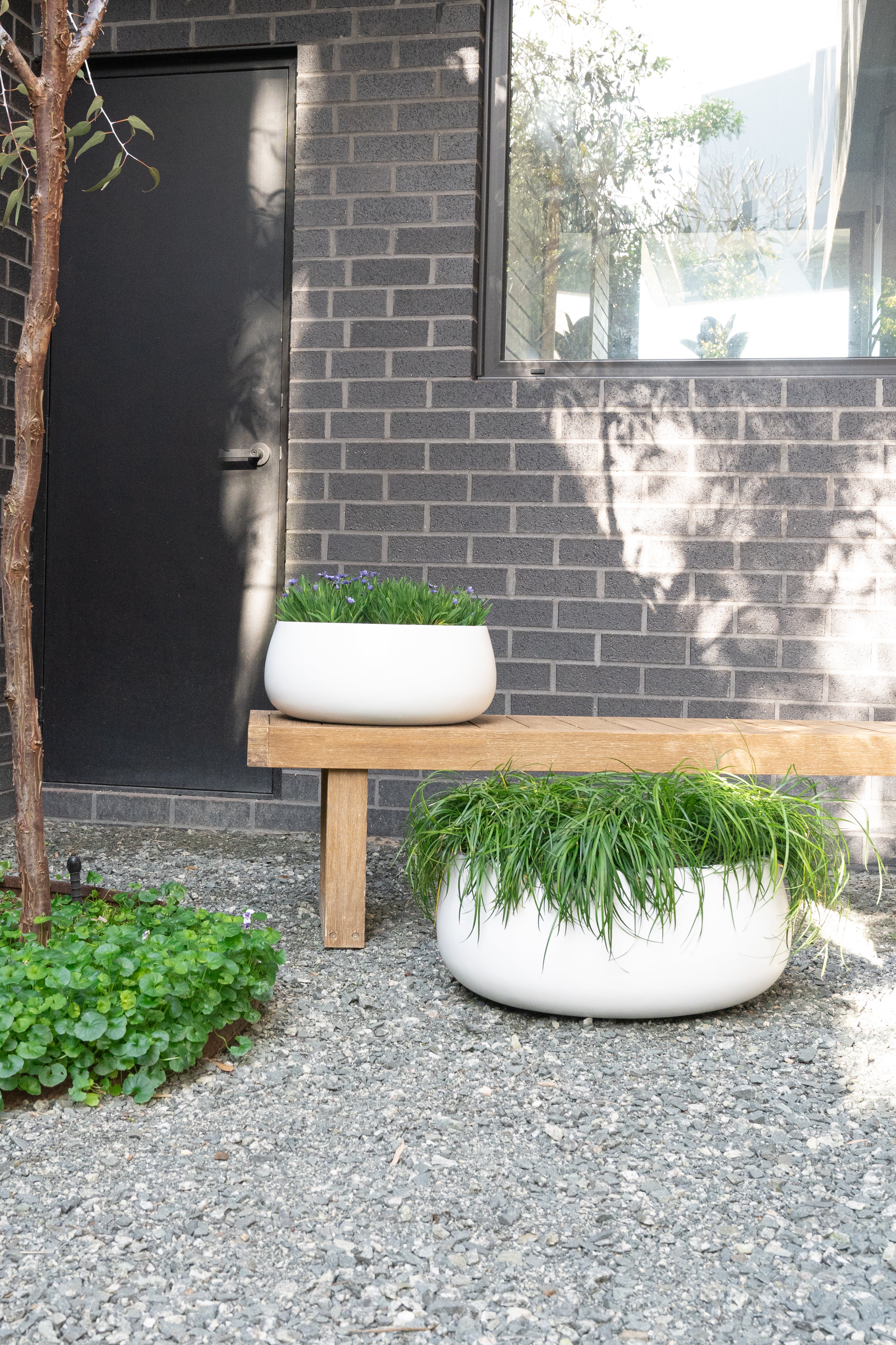 Eucalyptus Bowl - Image 13