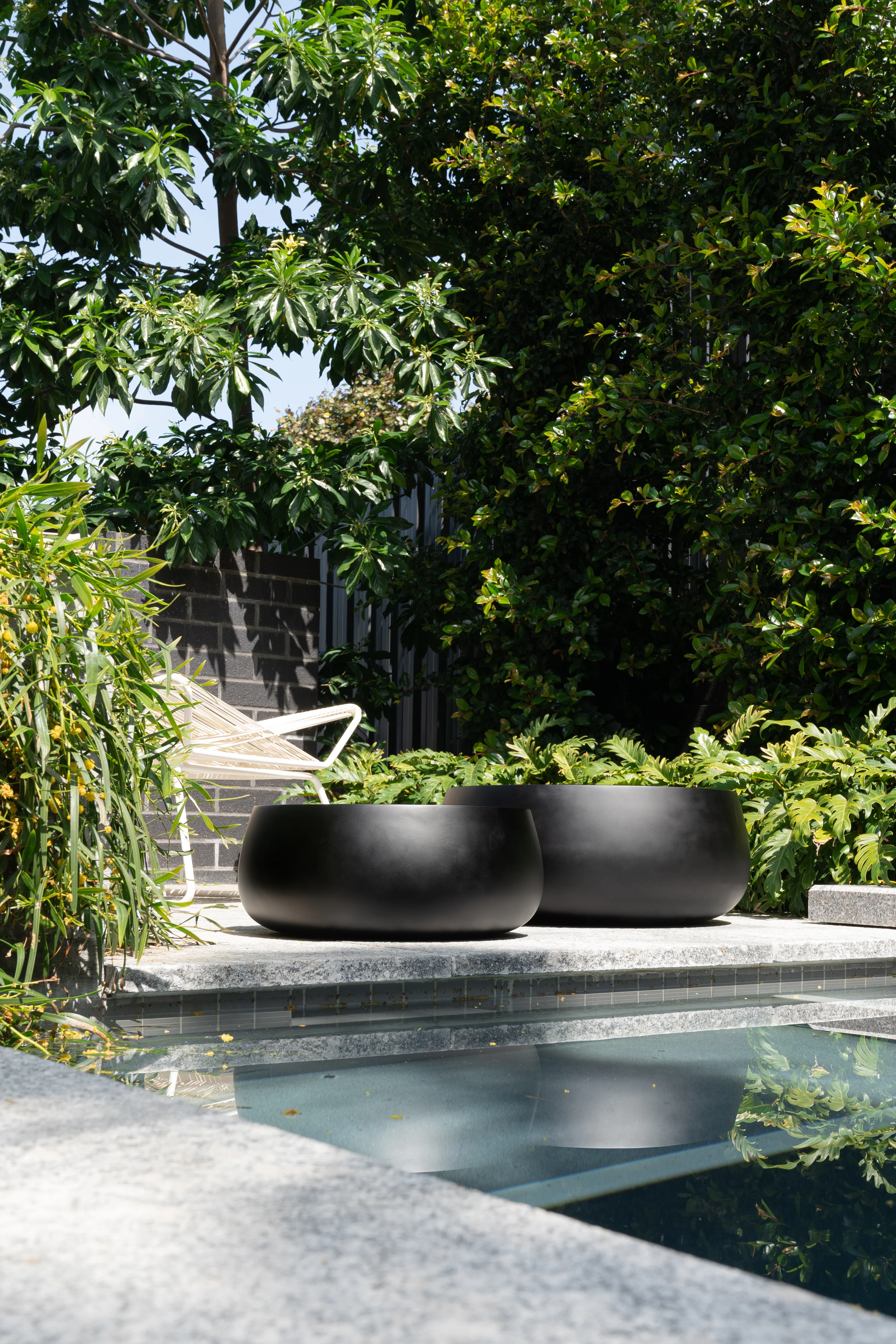 Eucalyptus Bowl - Image 2