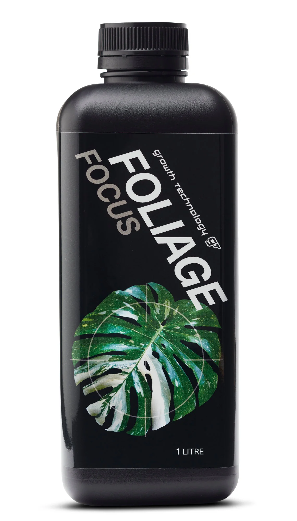 Foliage Focus