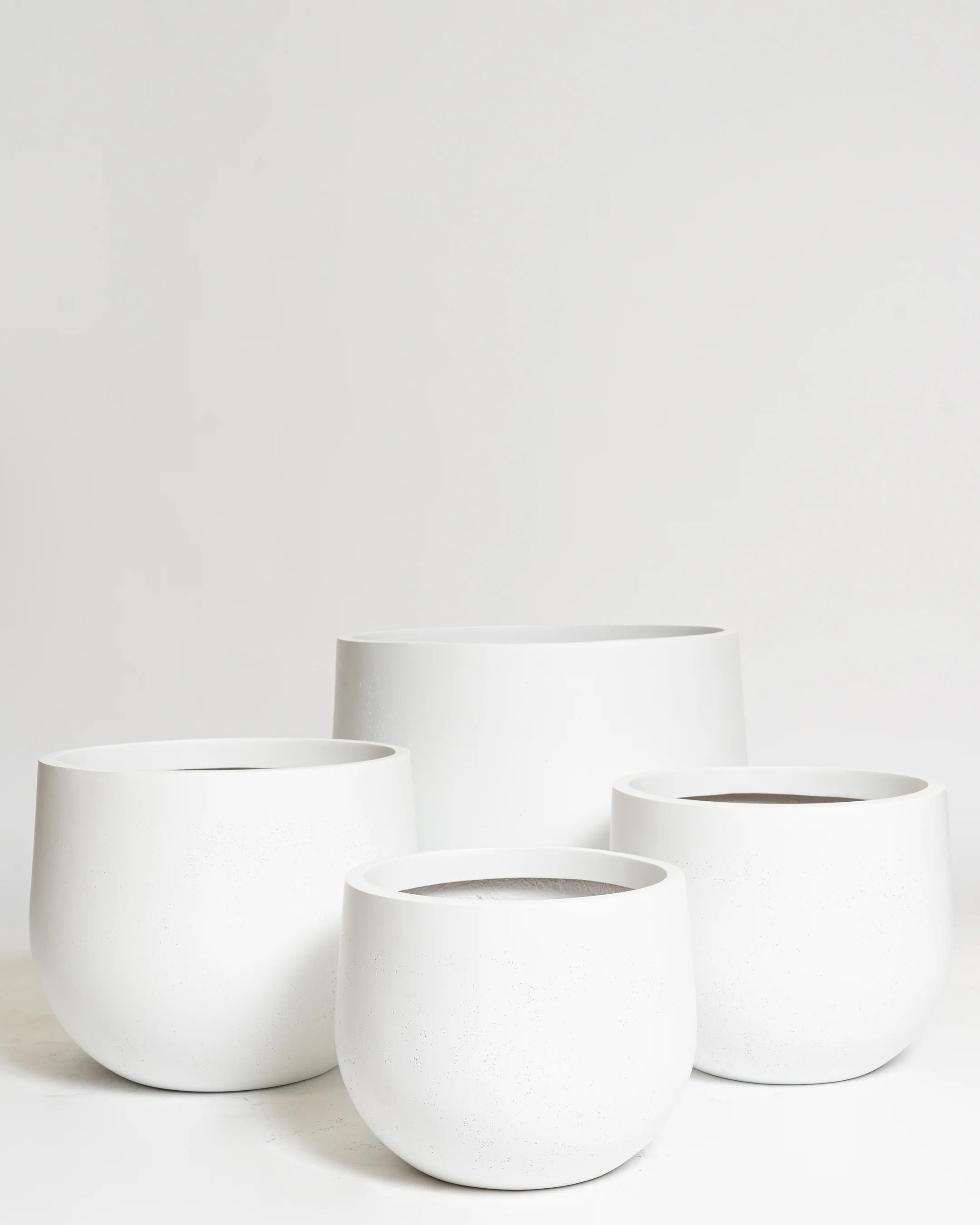 Hakea Pot