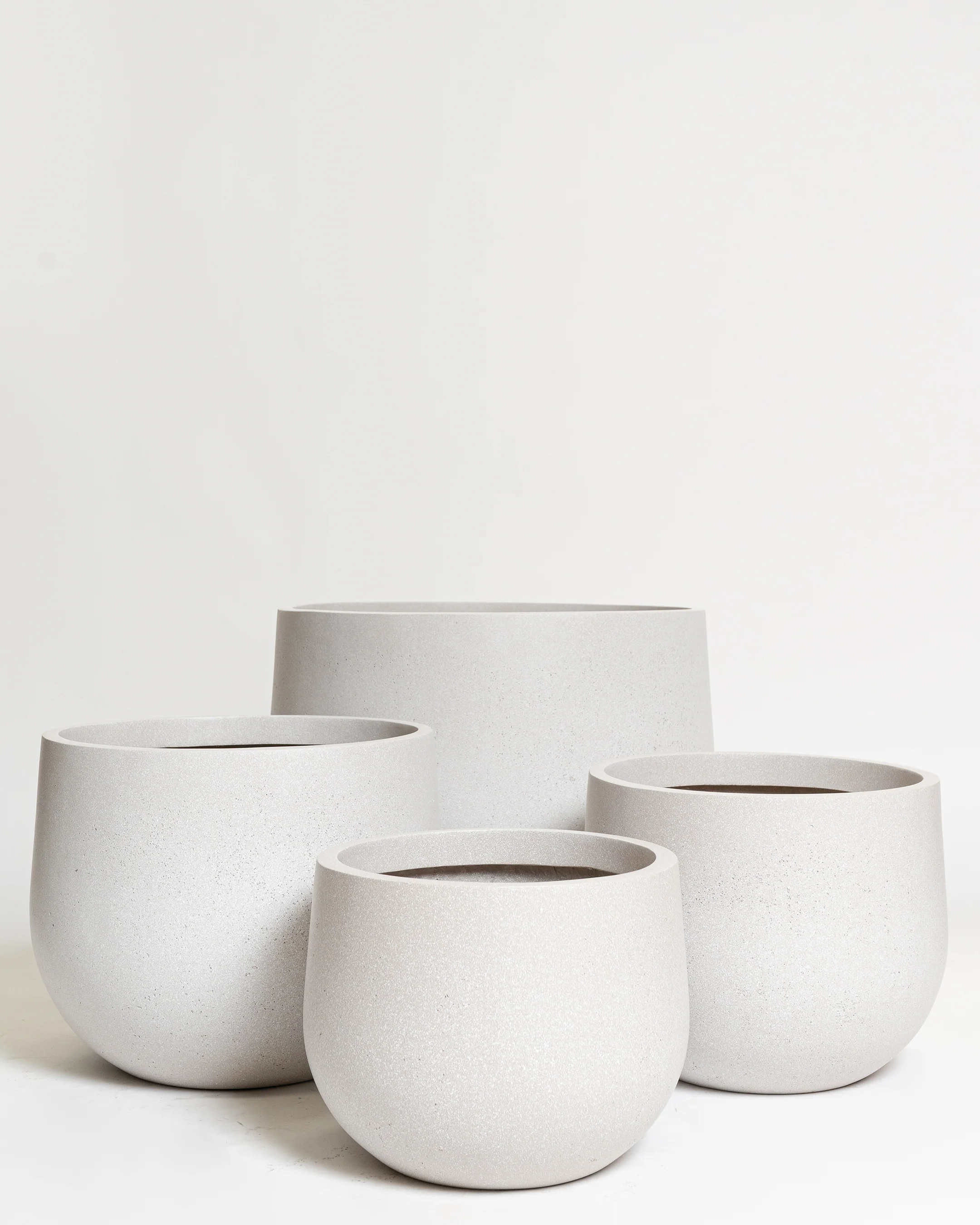 Hakea Pot - Image 10
