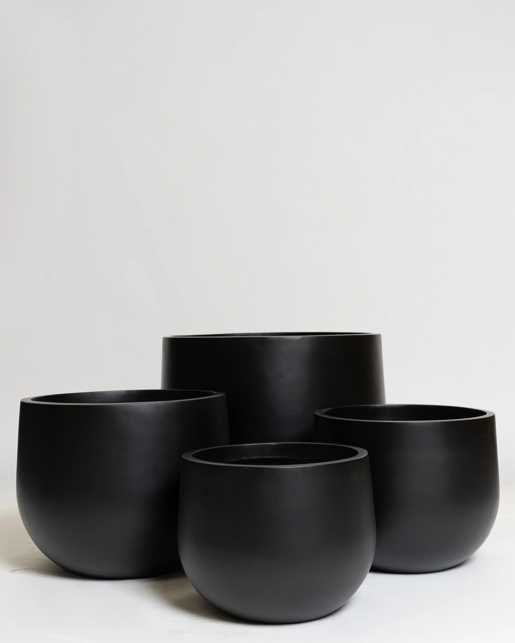 Hakea Pot - Image 20
