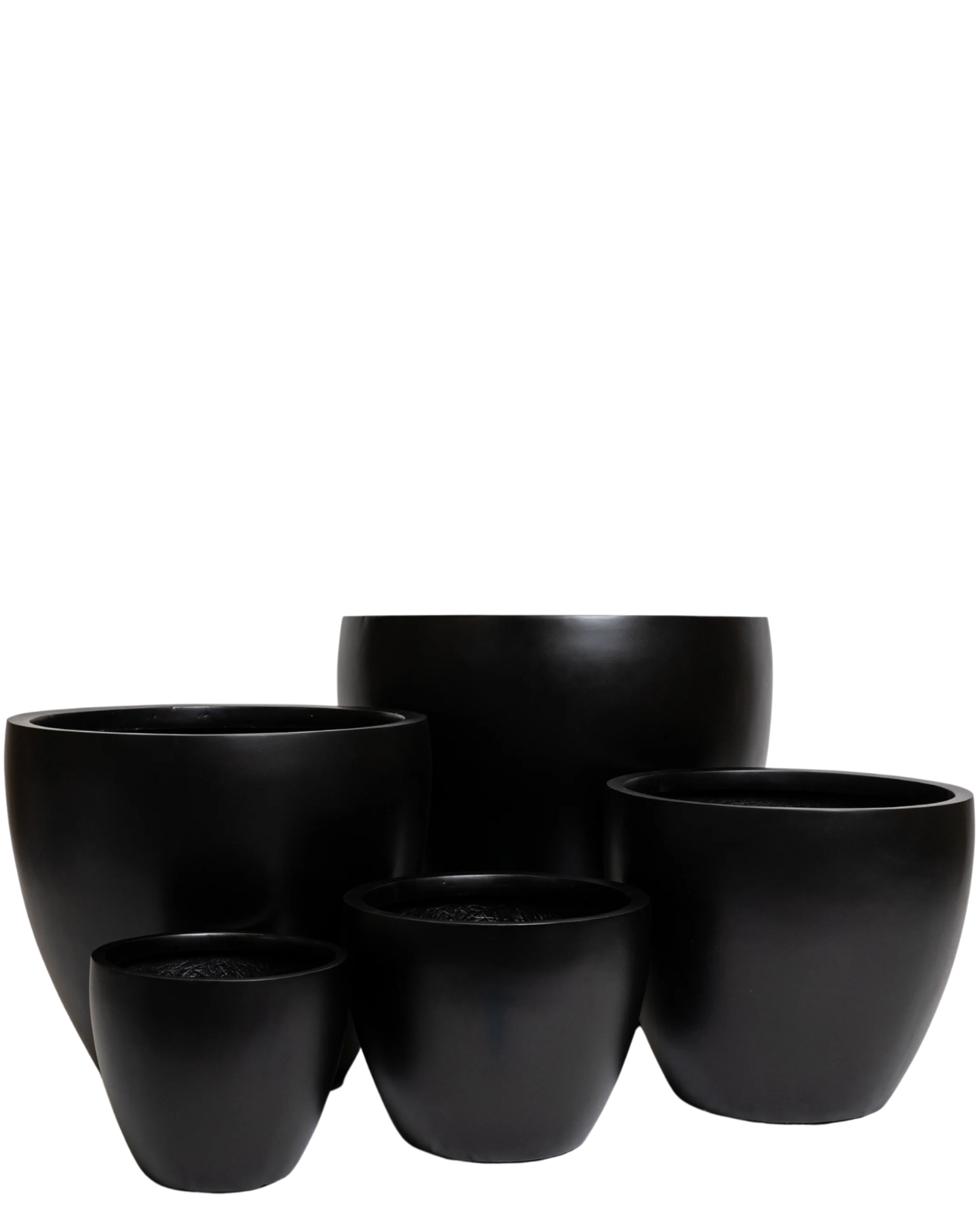 Hendrix Pot - Image 6