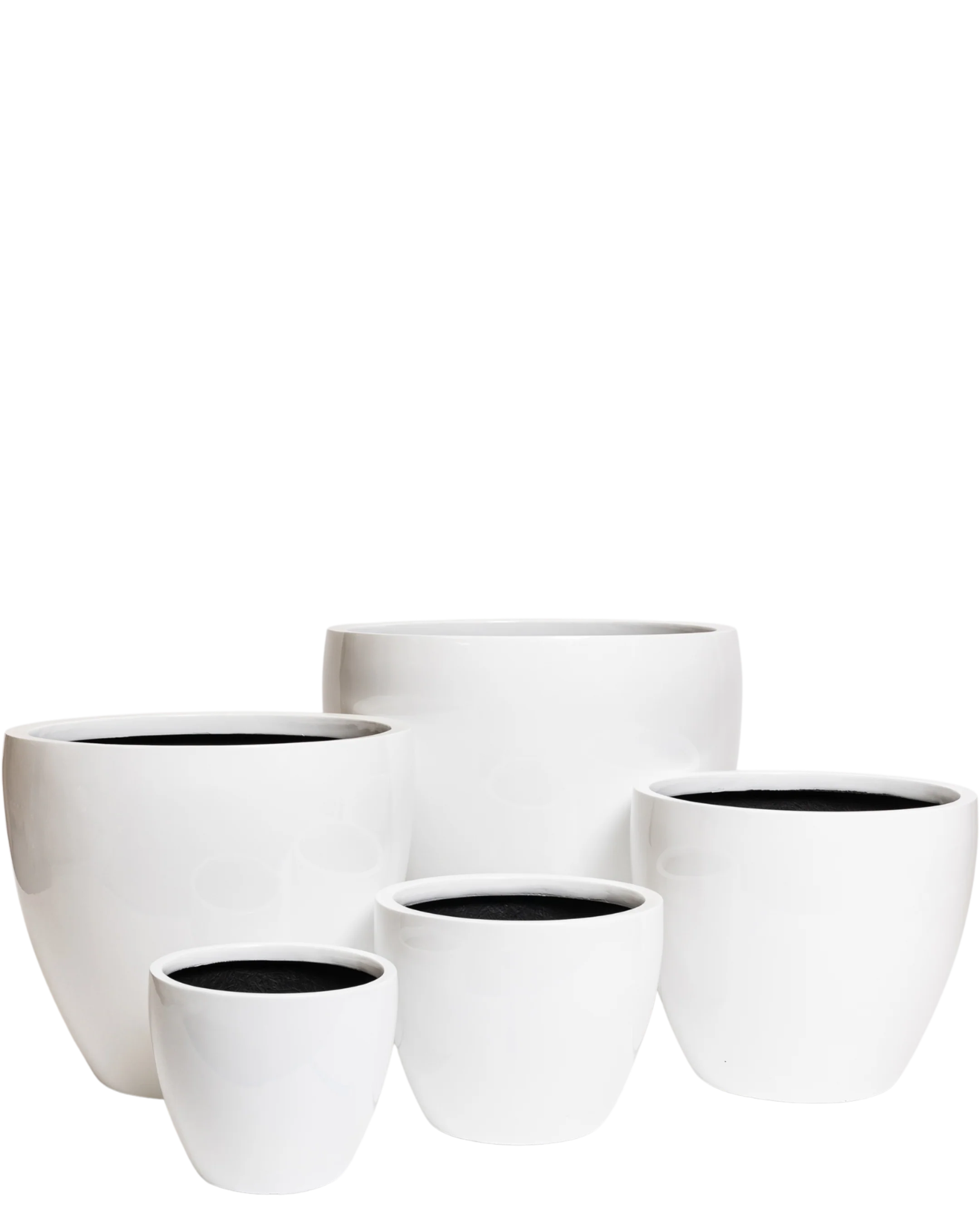 Hendrix Pot - Image 7