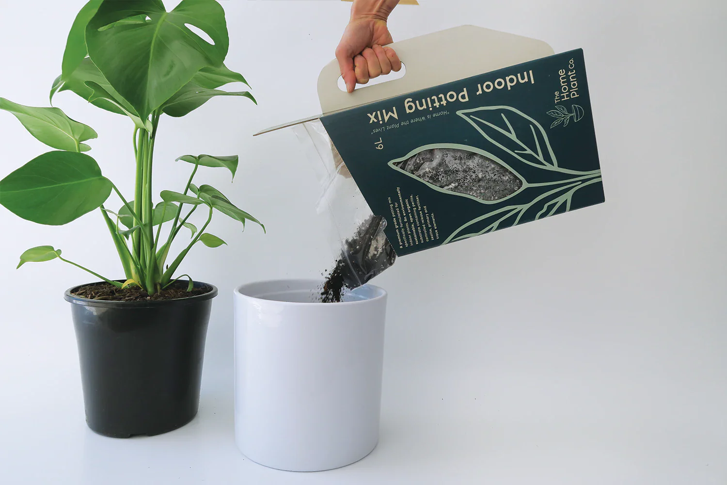 Indoor Potting Mix - Image 3