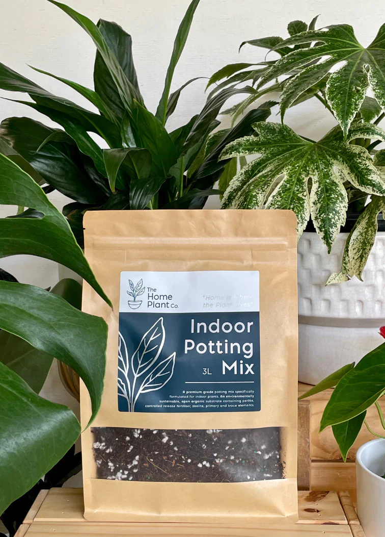 Indoor Potting Mix - Image 5