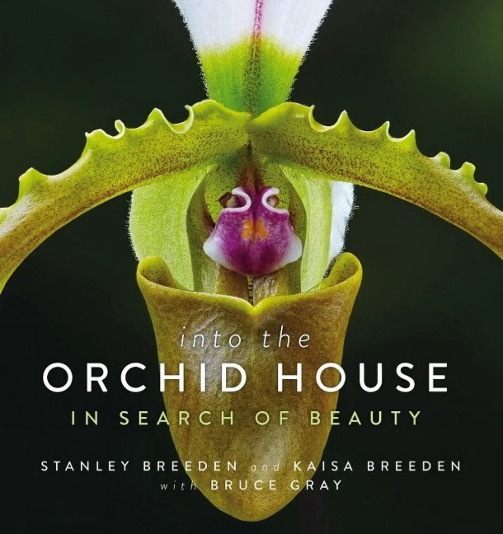 Into The Orchid House