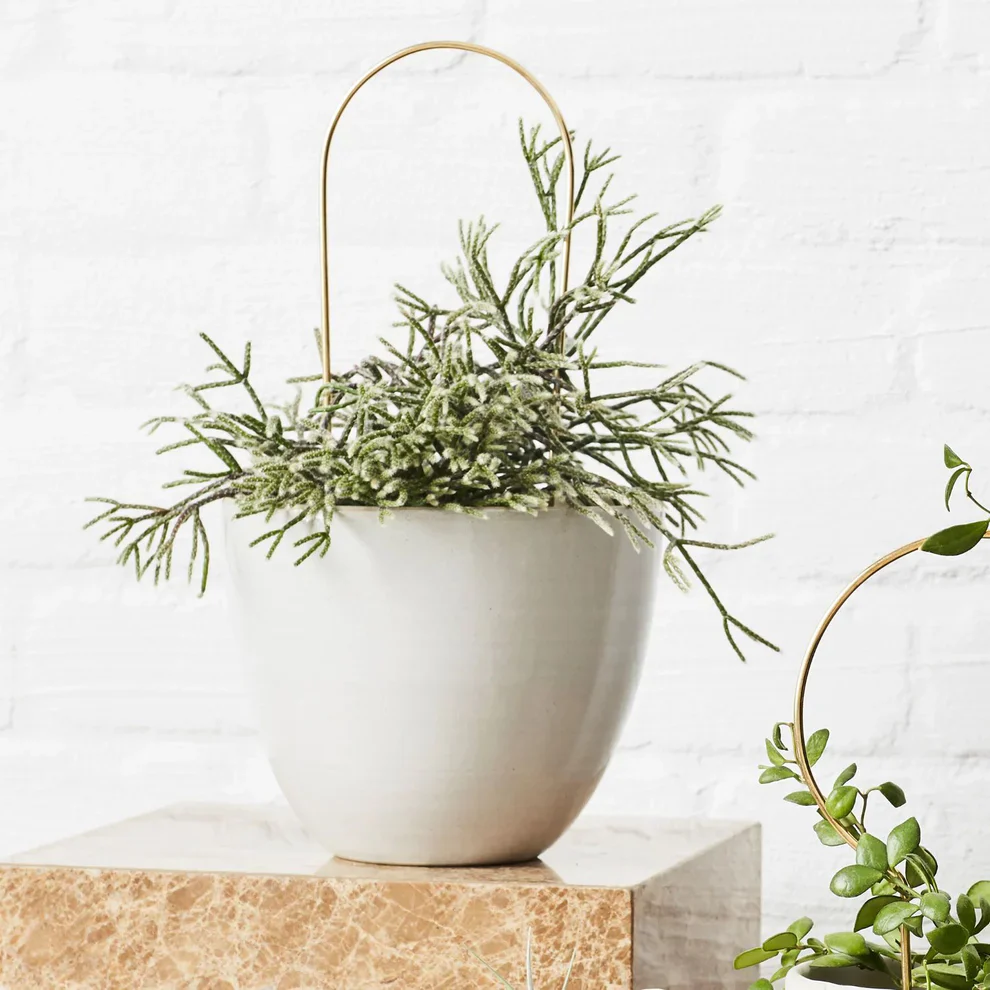 Ivy Muse Brass Plant Stake - Arch - Image 2