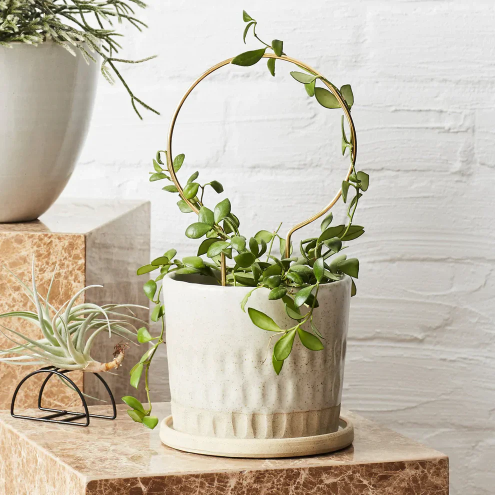 Ivy Muse Brass Plant Stake - Circle - Image 2