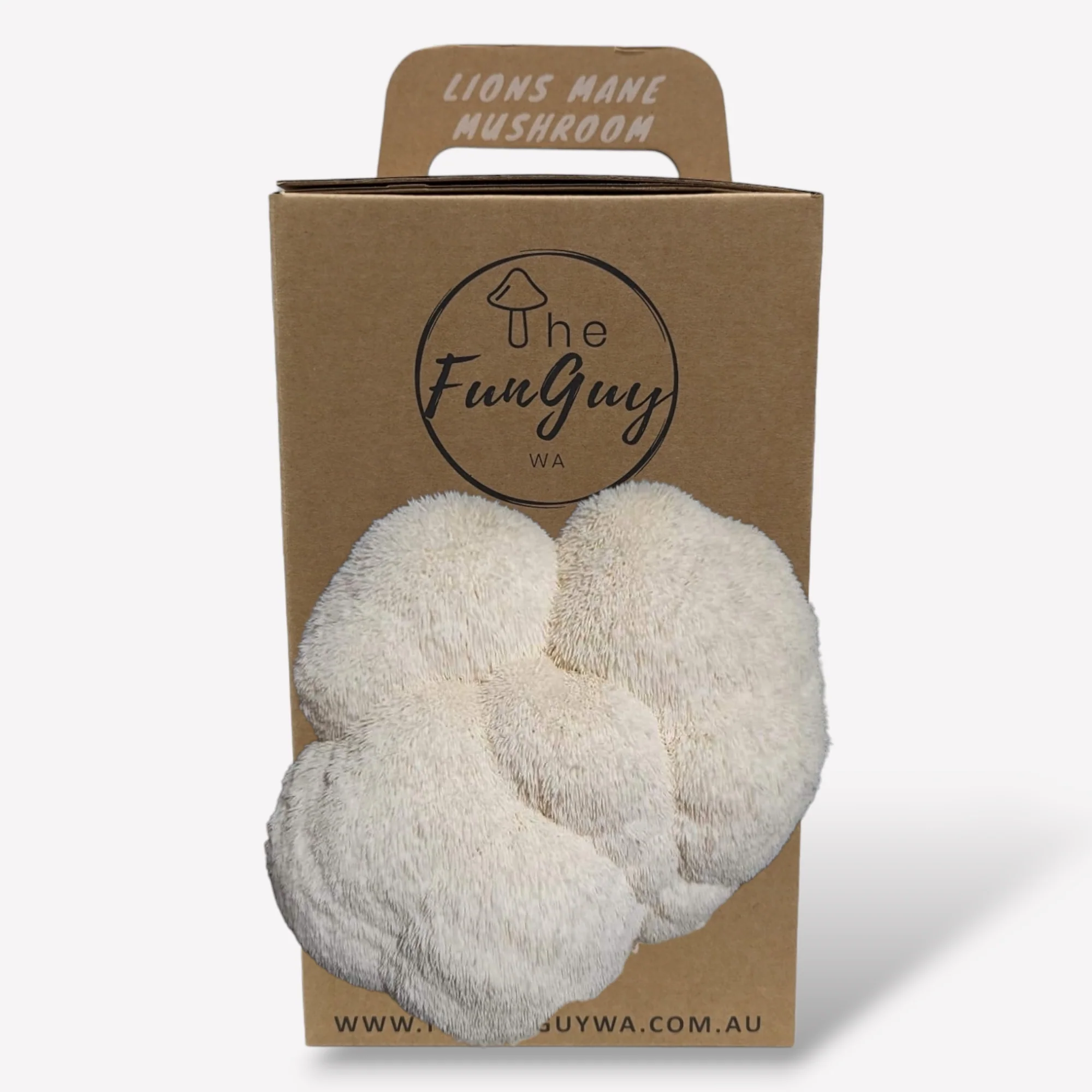 Lions Mane Mushroom Grow Kit - Image 2