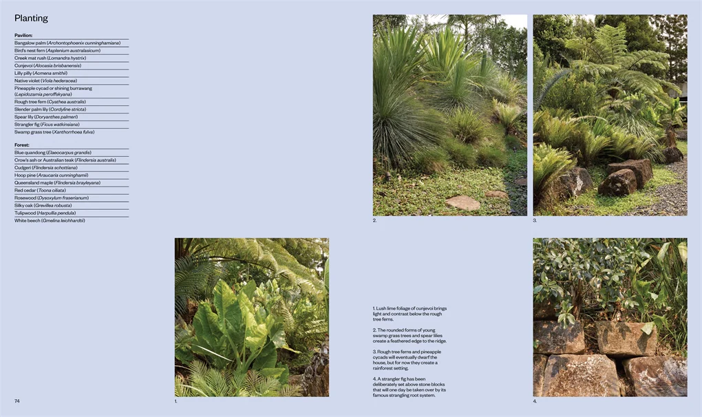 Living Outside - Image 7