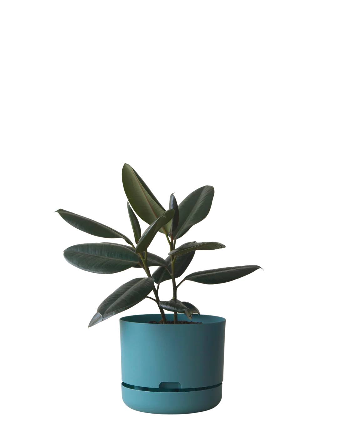 Mr Kitly Self Watering Pot 250MM - Image 8