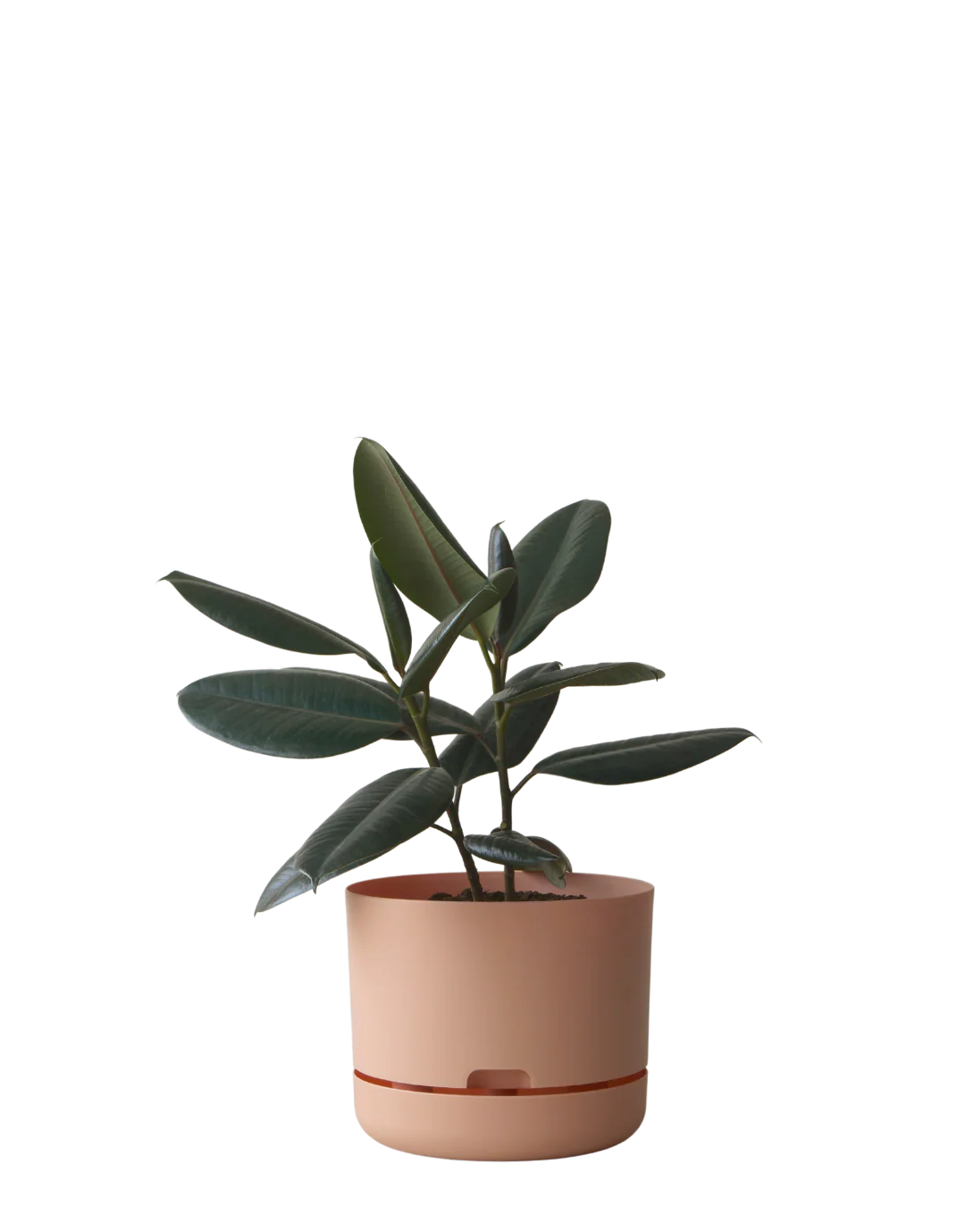 Mr Kitly Self Watering Pot 250MM - Image 9