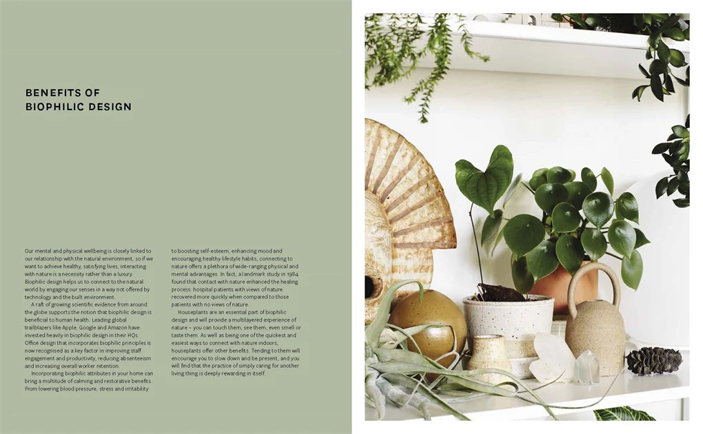 Nature Style - Image 3