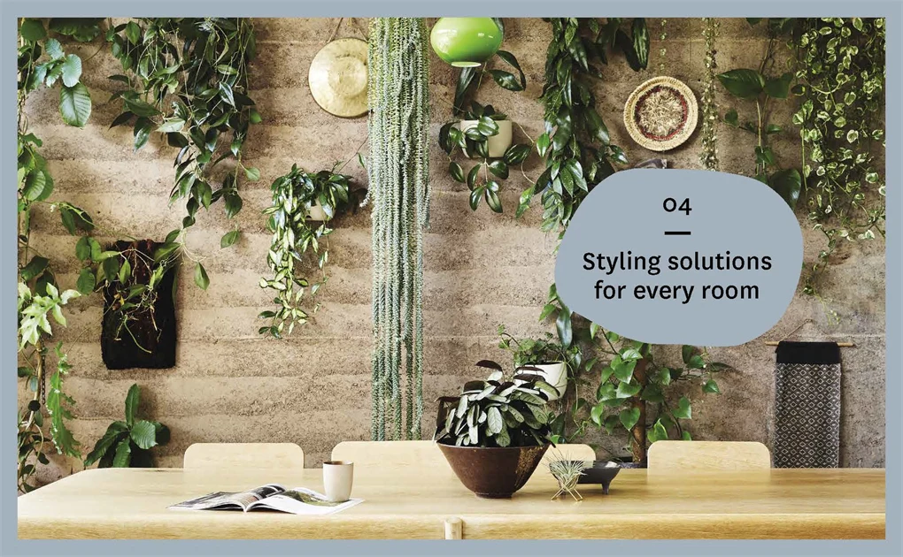 Nature Style - Image 6