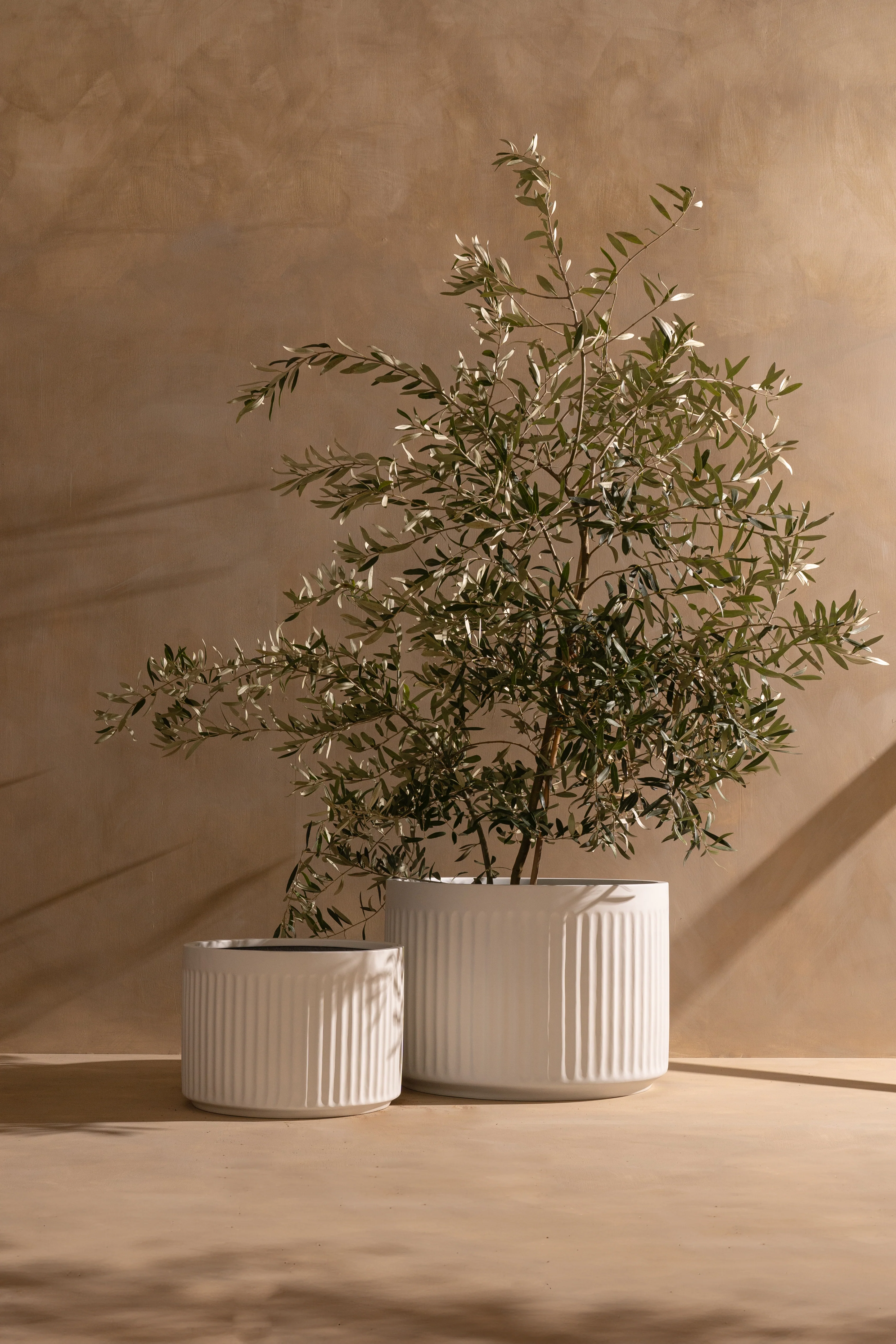 Olivia Pot - Image 2