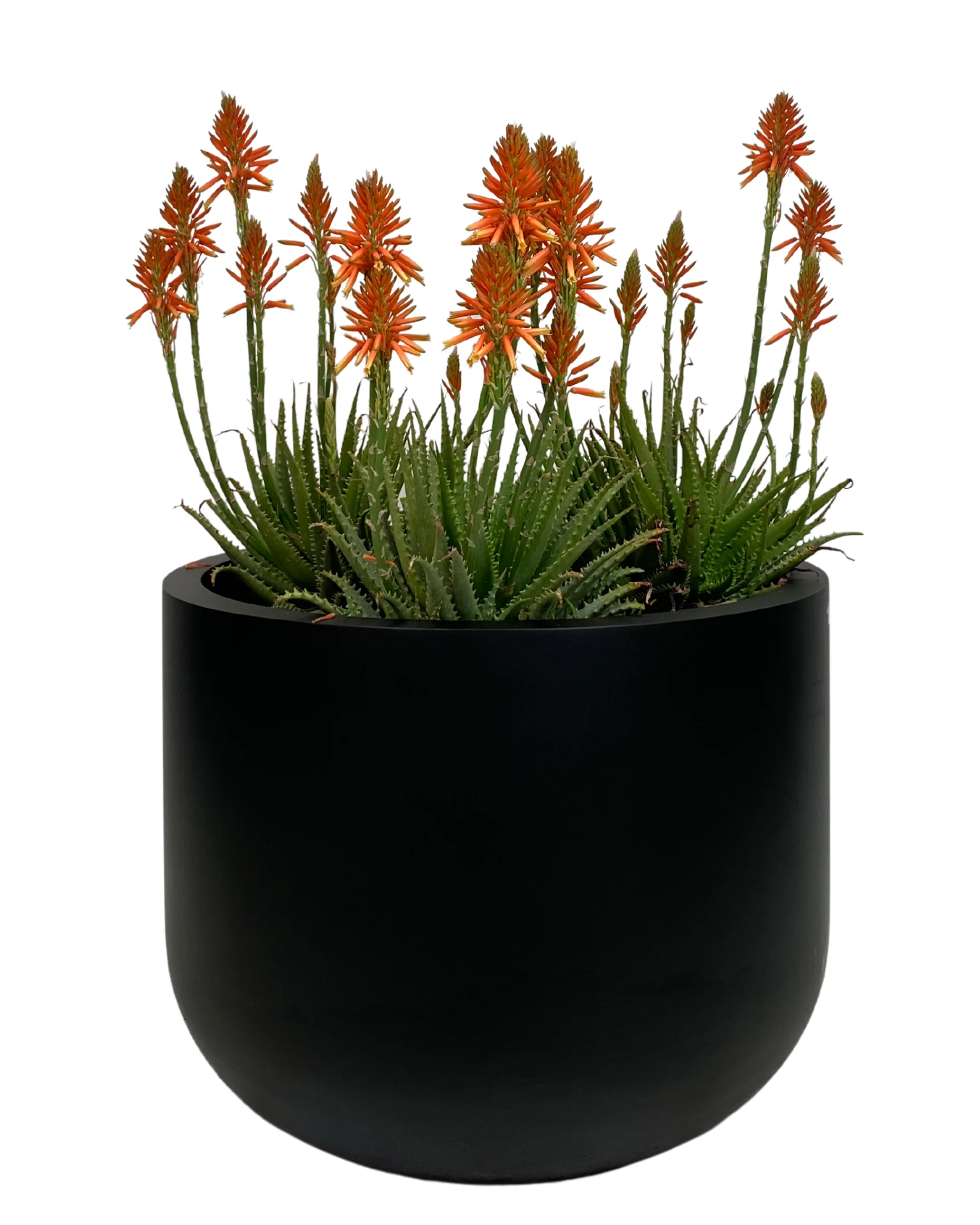 Pietro U-Shape Pot - Image 2