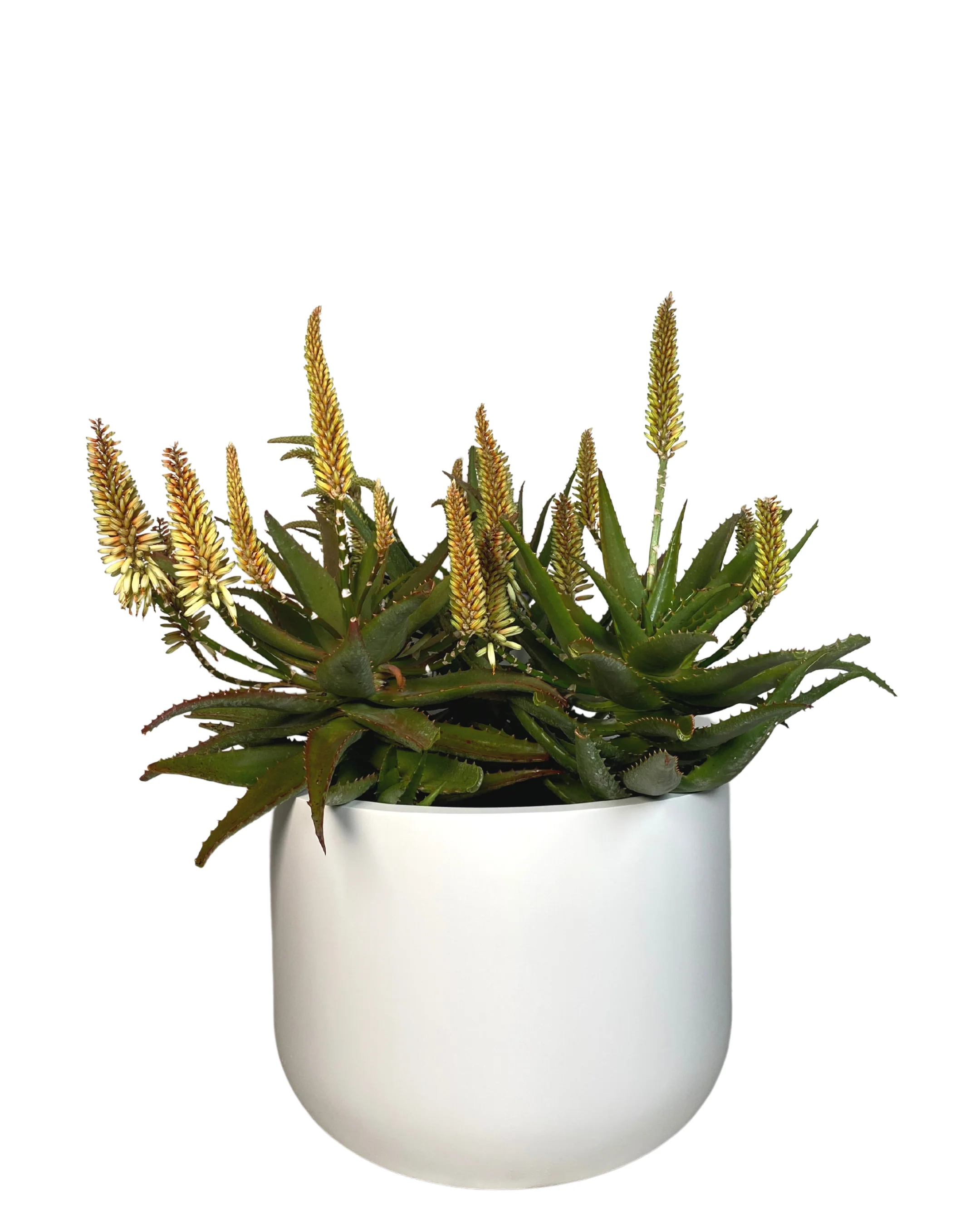 Pietro U-Shape Pot - Image 3