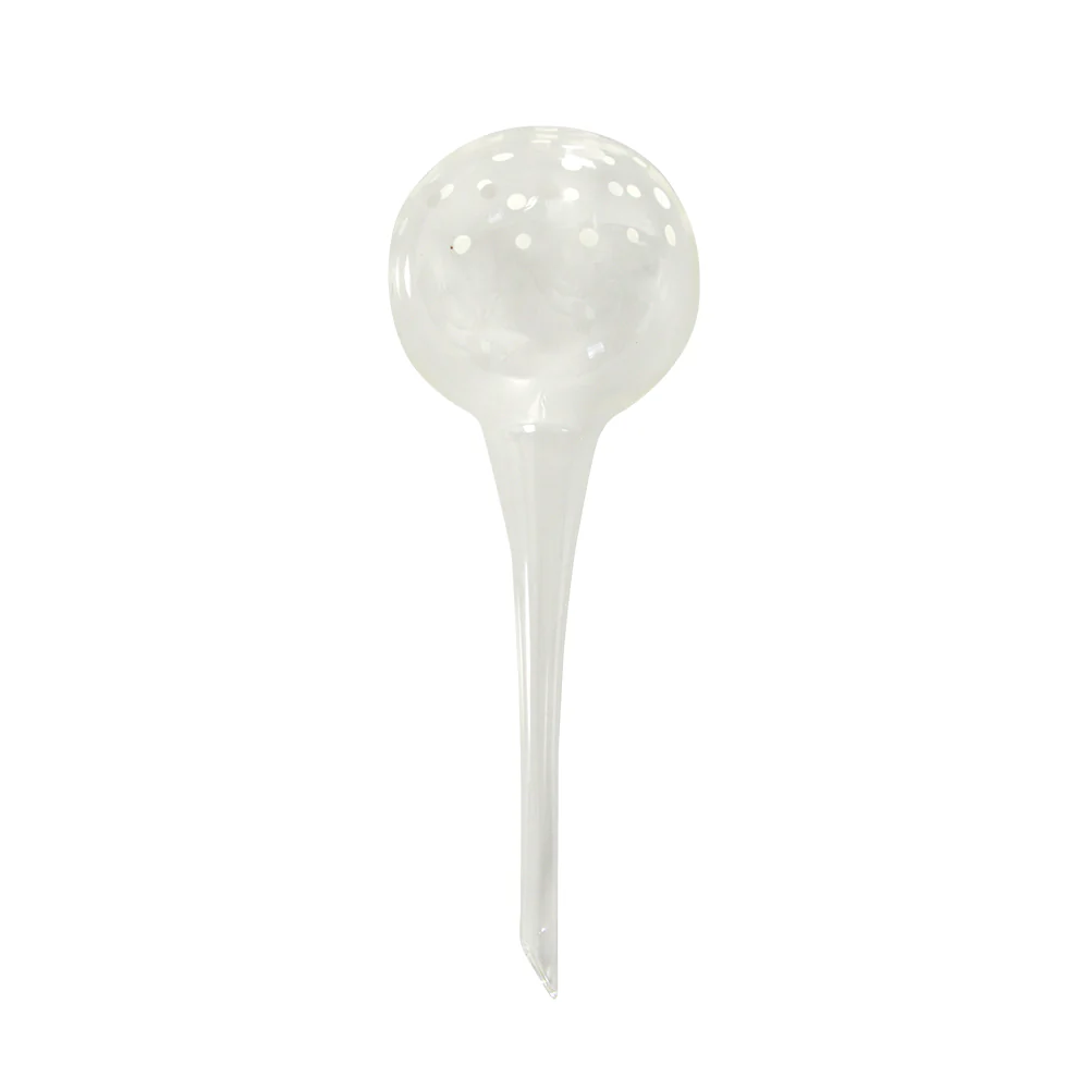 Plant Bubble - Image 4