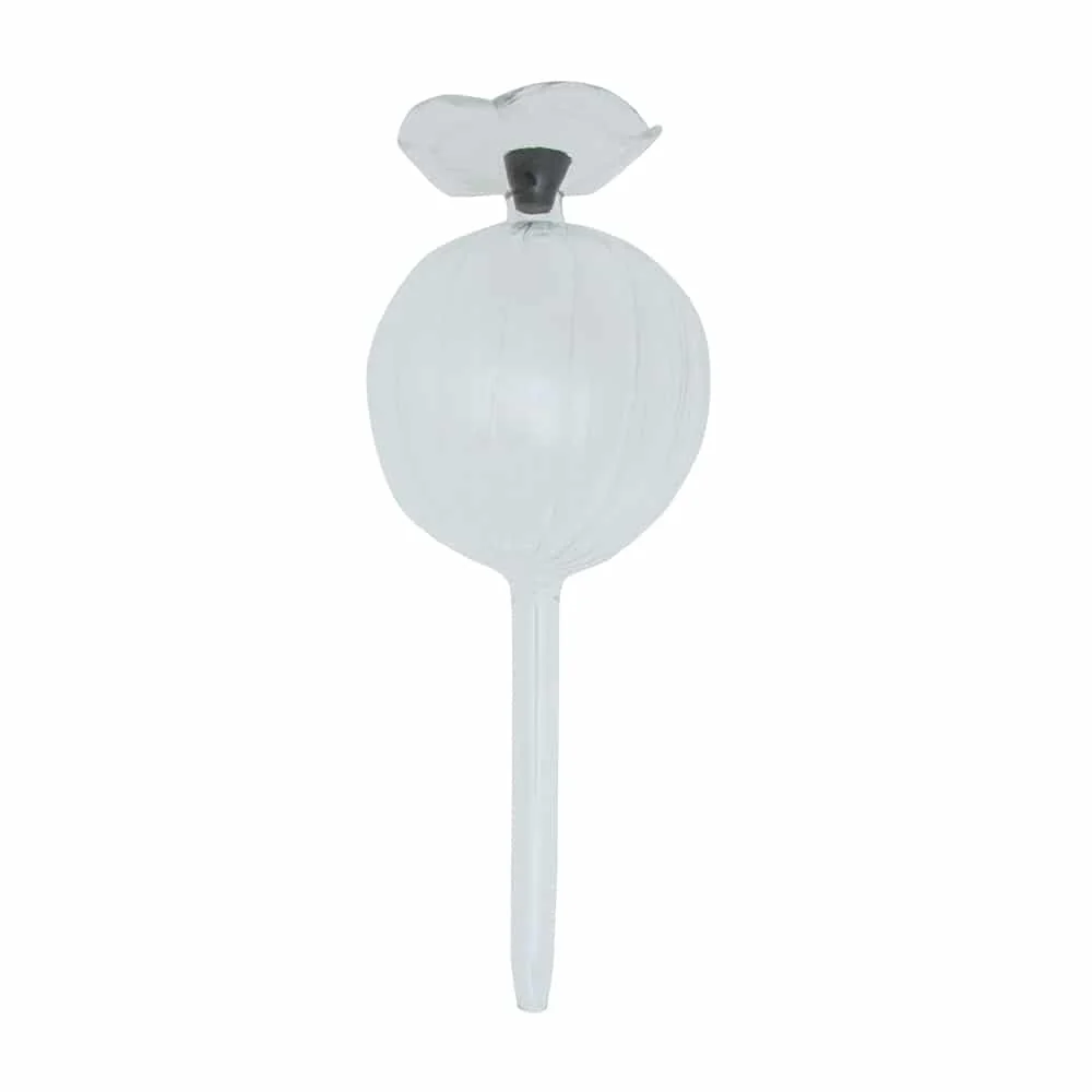 Plant Bubble - Image 5