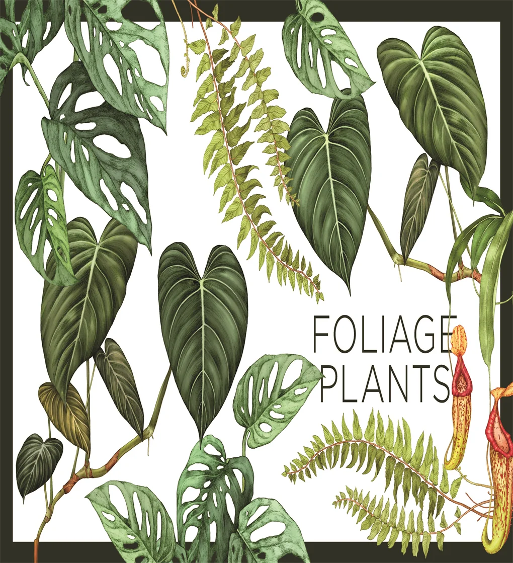 Plantopedia - Image 3