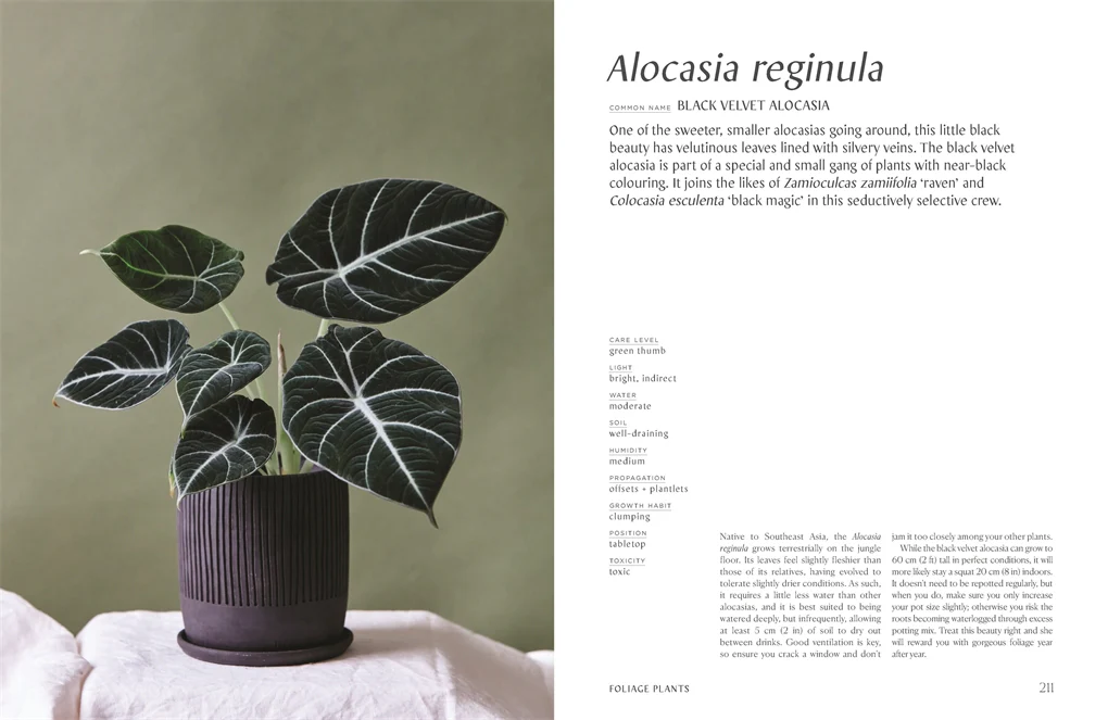 Plantopedia - Image 4