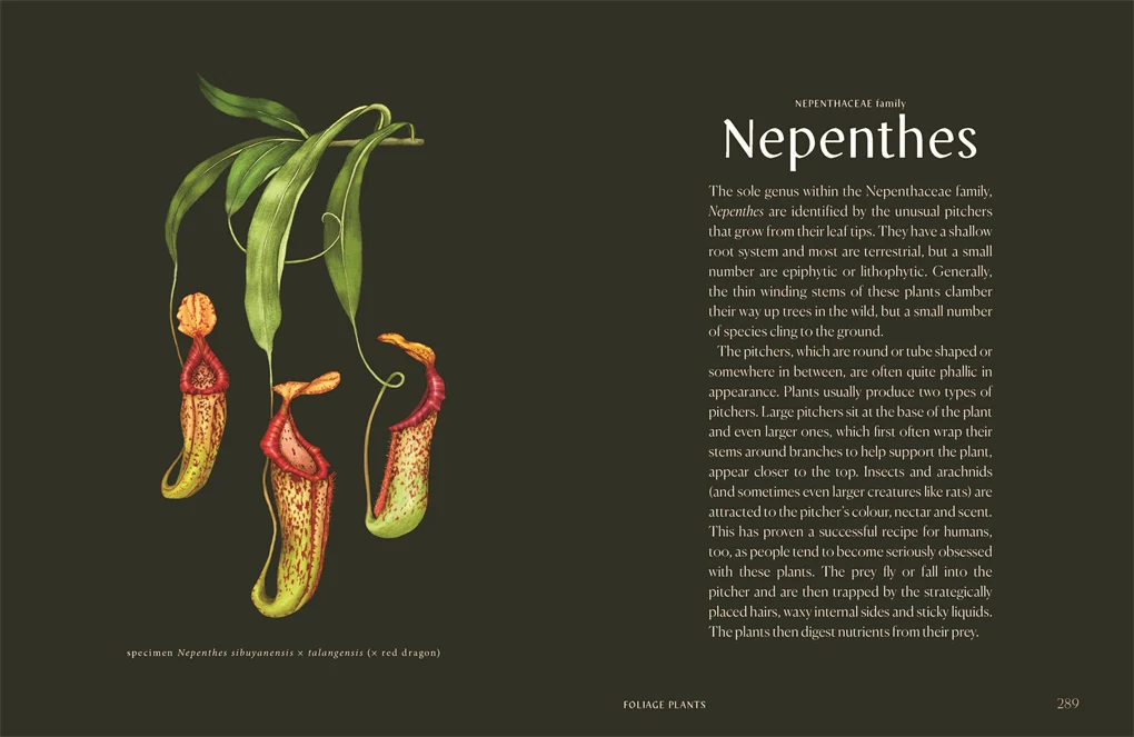 Plantopedia - Image 6
