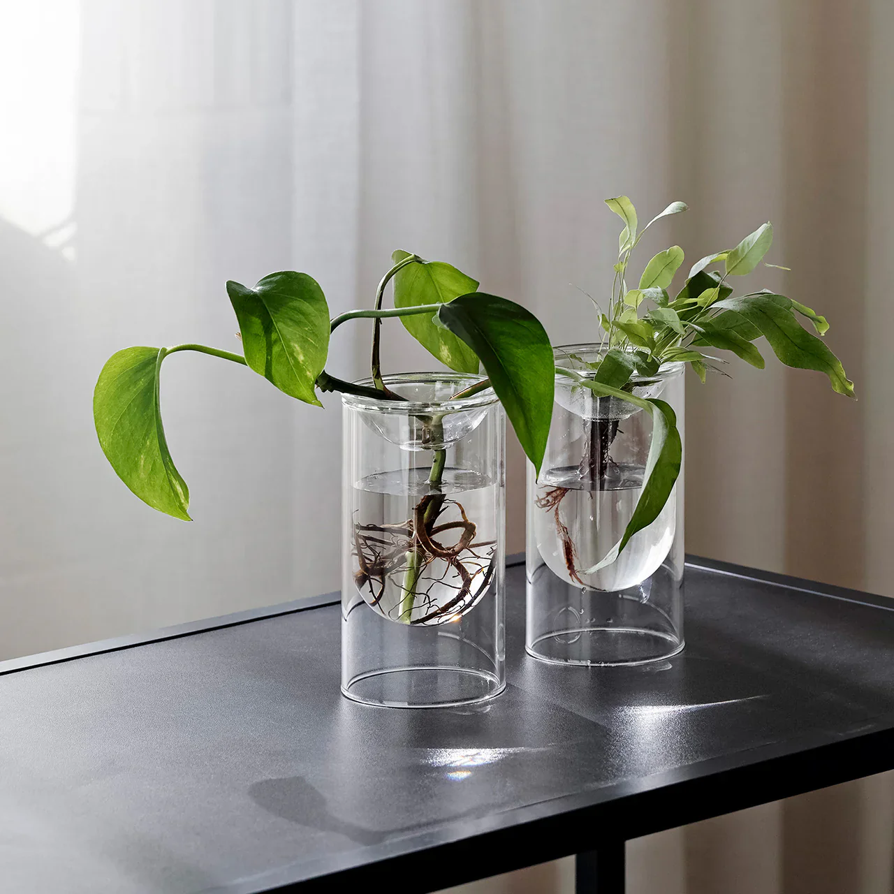 Propagation Vase - Set of Two - Image 2