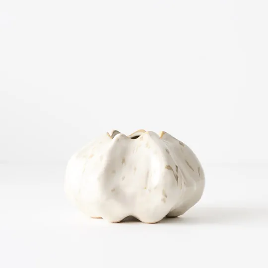 Rastina Vase - Image 3
