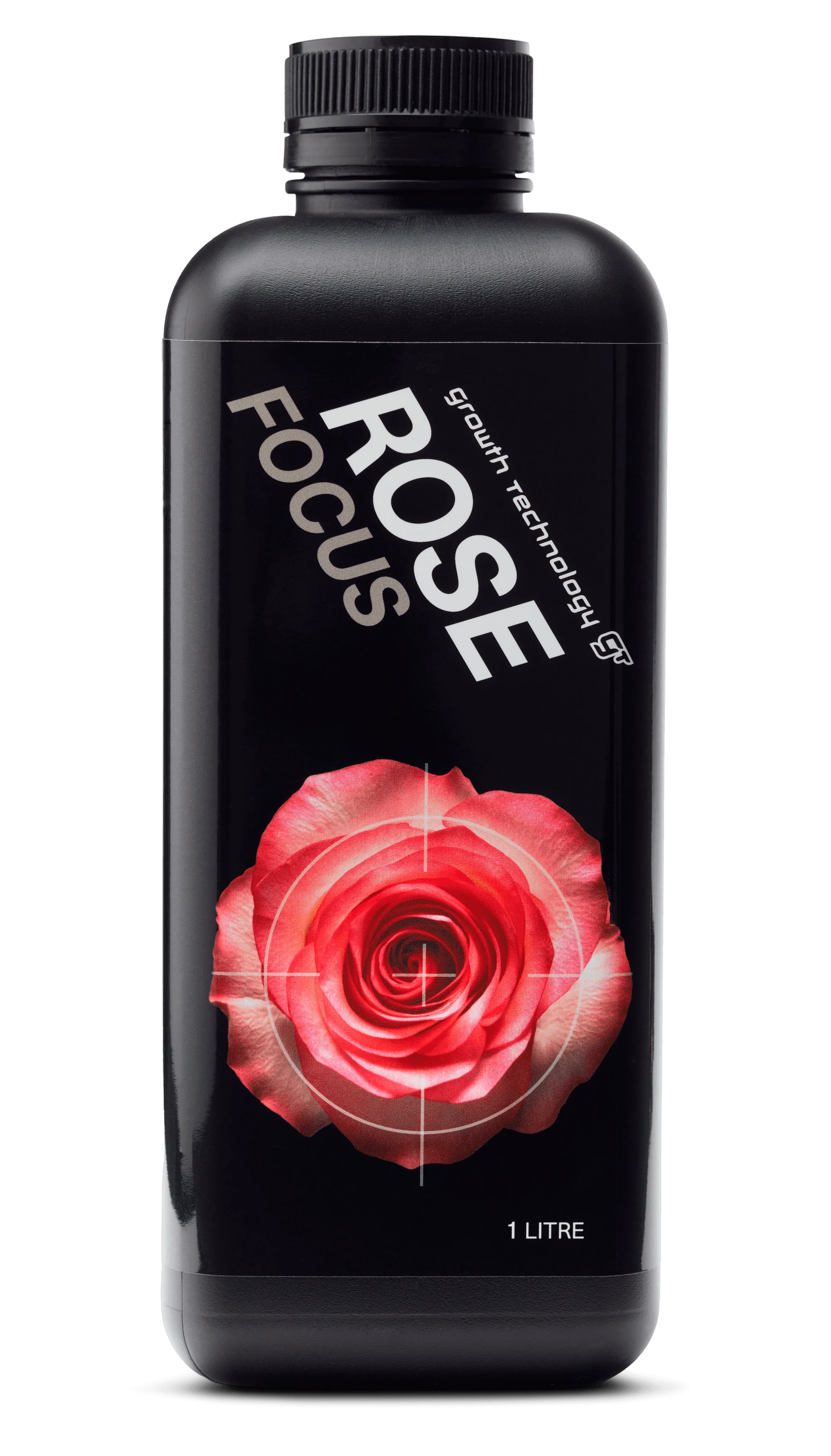 Rose Focus