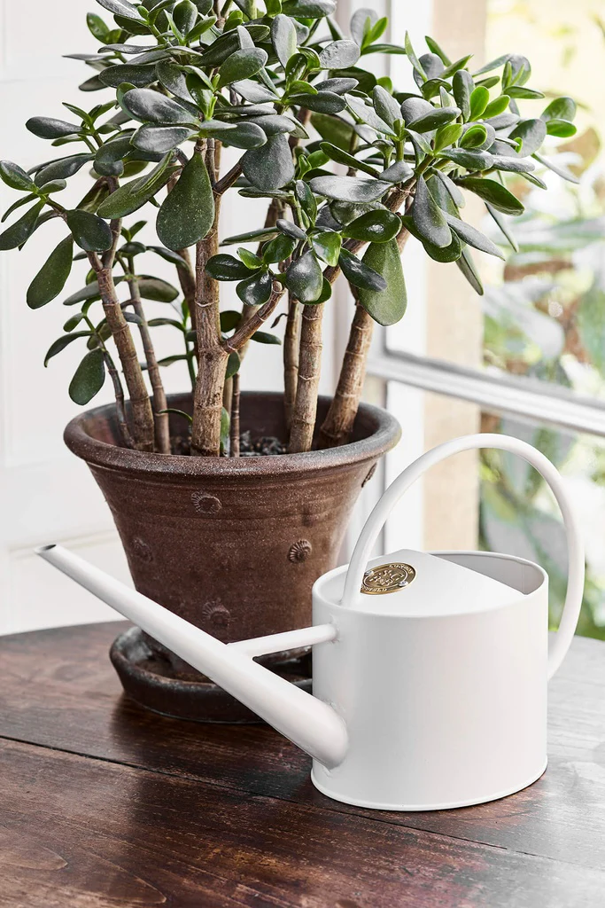 Sophie Conran Indoor Watering Can - Image 2