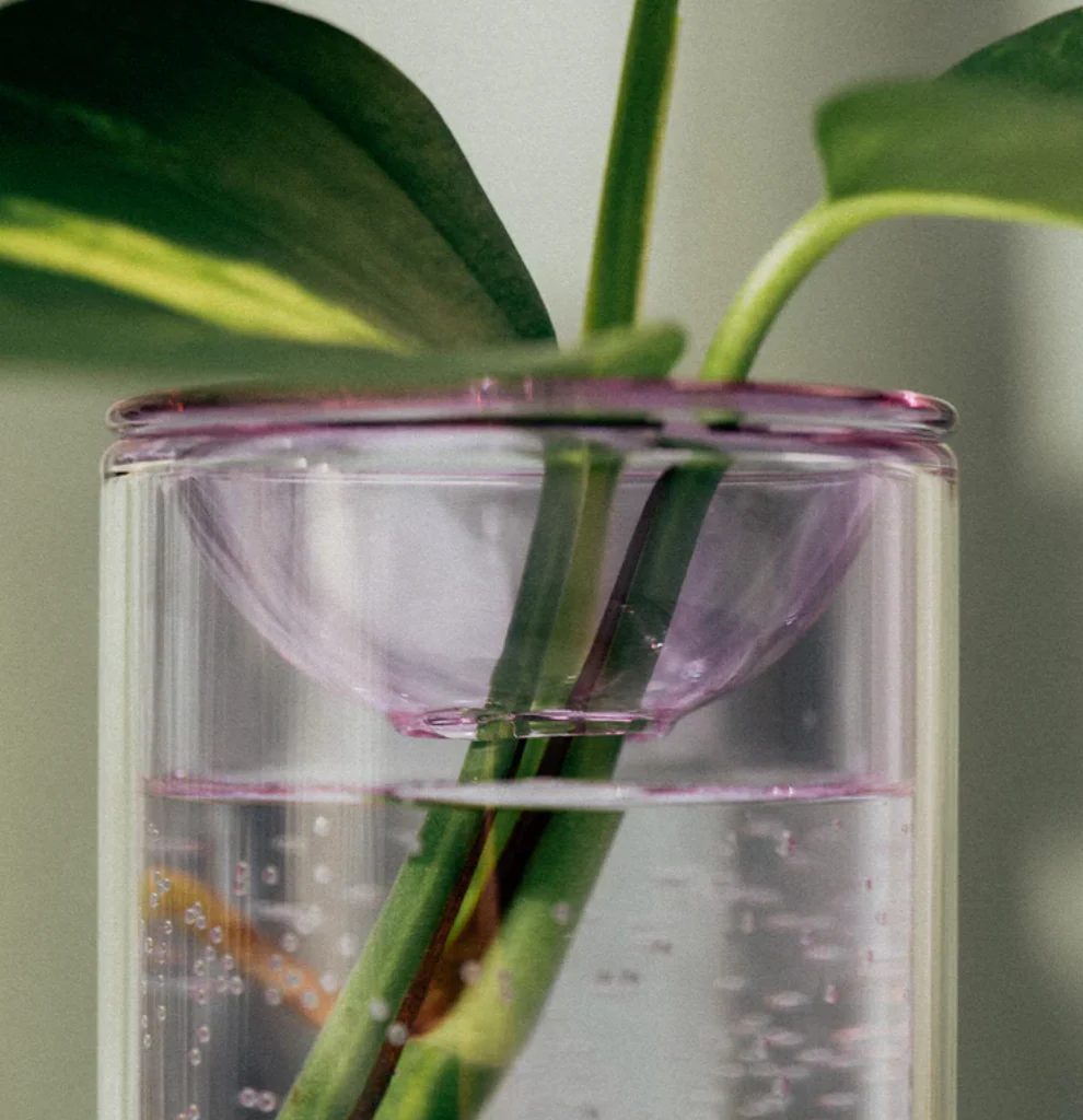 Studio Milligram Propagation Vase - Image 3
