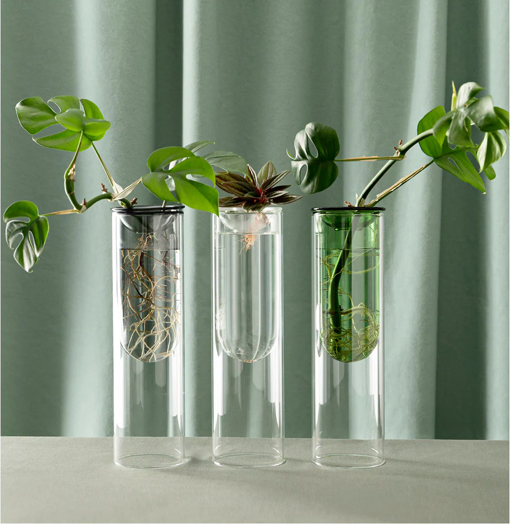 Studio Milligram Propagation Vase - Image 3