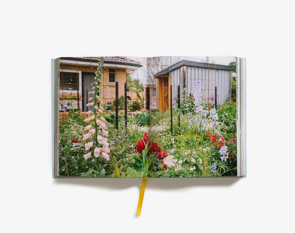 Super Bloom - Image 3